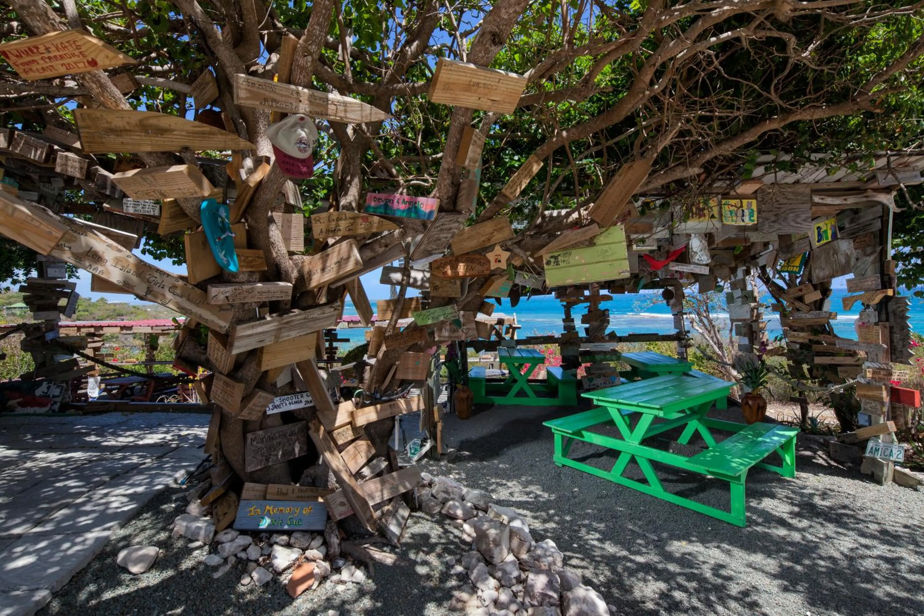 Lounge or bar in Pineapple Beach Club - All Inclusive - Adults Only