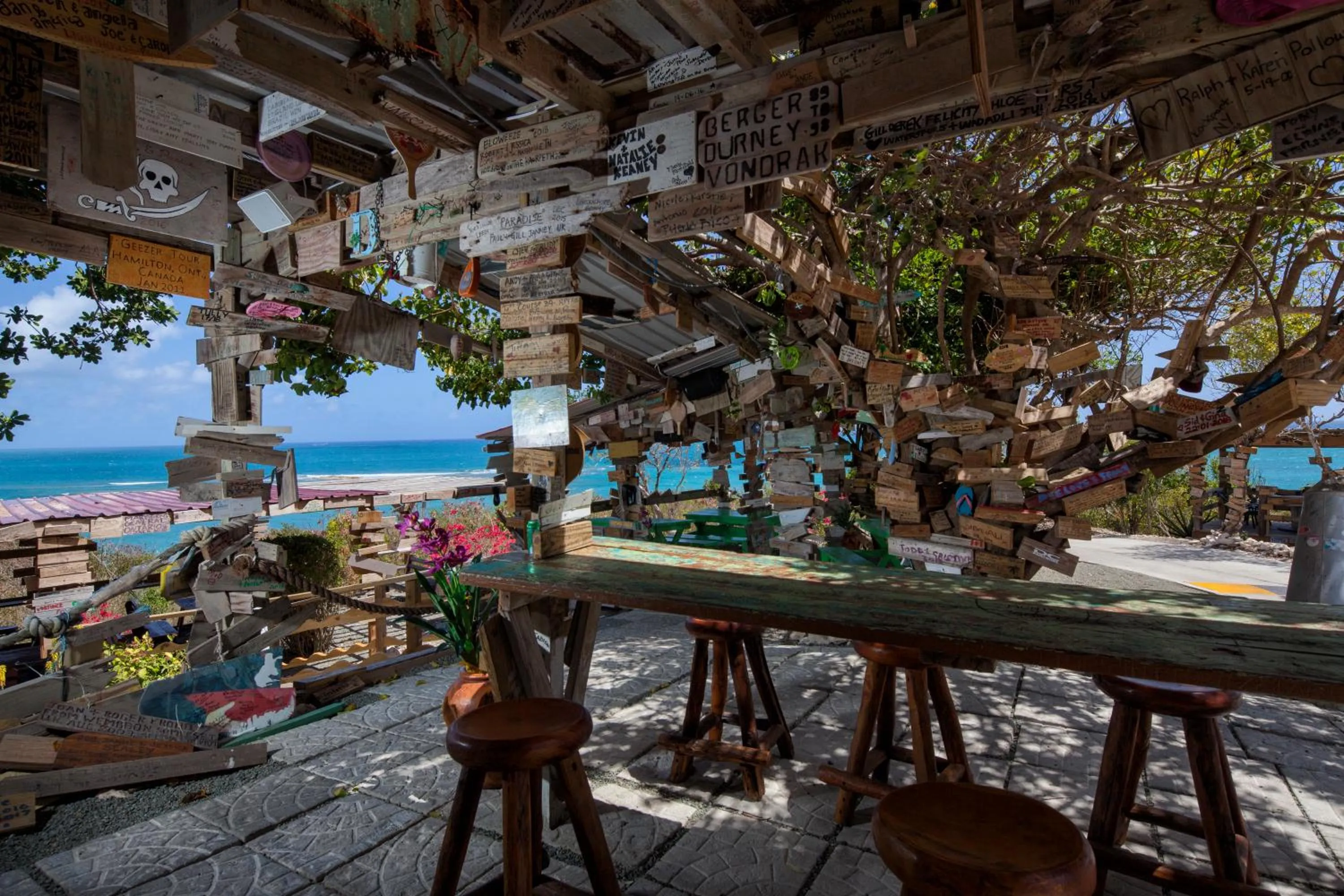 Lounge or bar in Pineapple Beach Club - All Inclusive - Adults Only