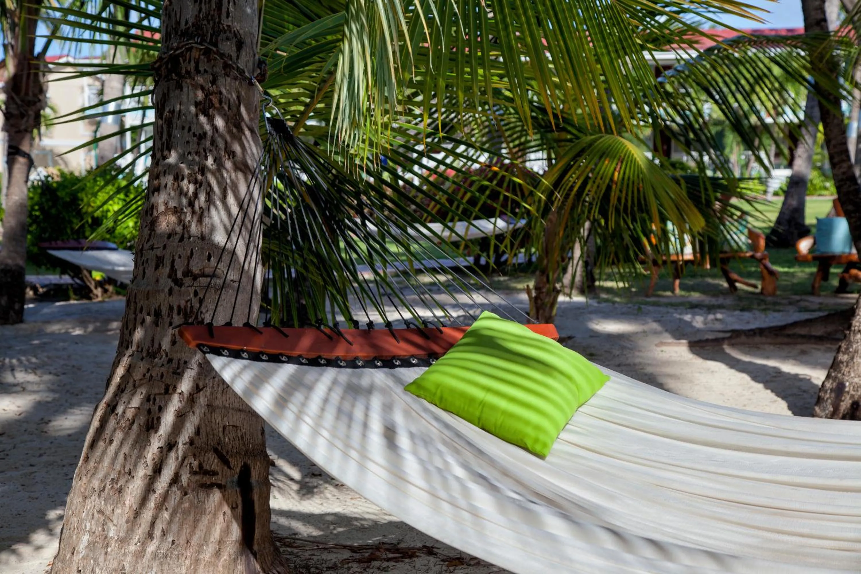 Activities in Pineapple Beach Club - All Inclusive - Adults Only