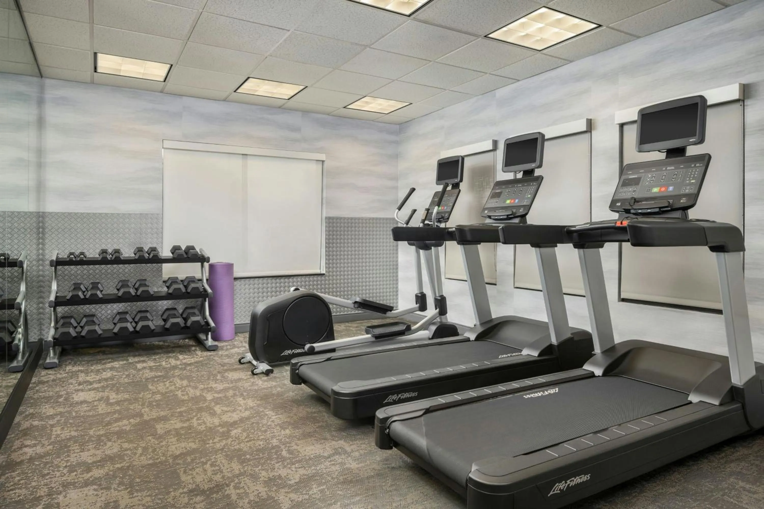Fitness centre/facilities in Fairfield Inn and Suites by Marriott Dallas Mansfield