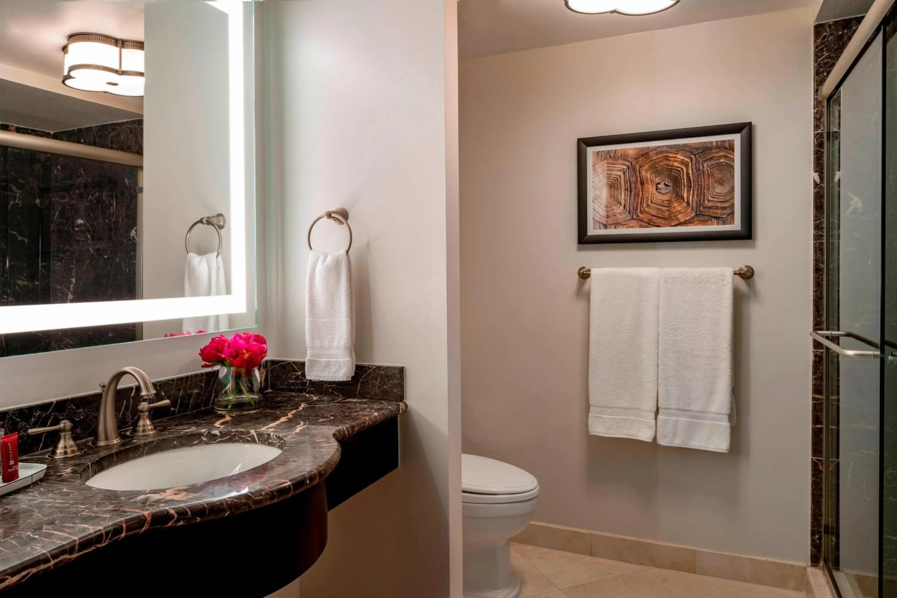 Bathroom in Hollywood Beach Marriott