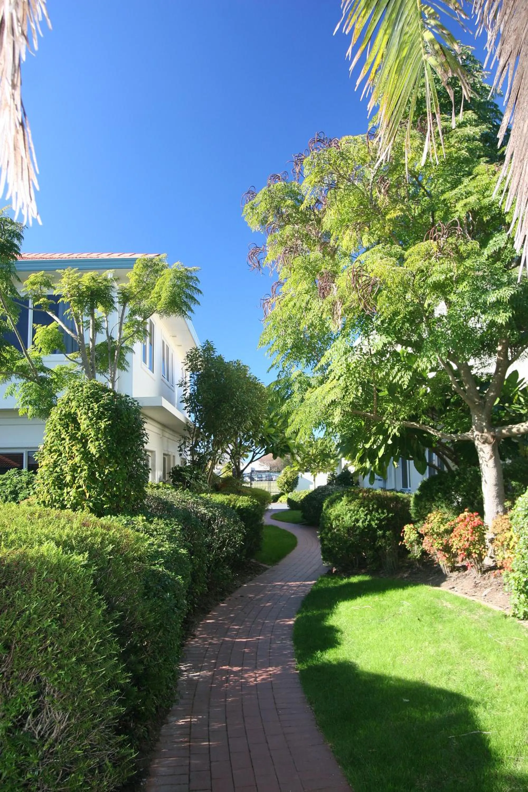 Garden in Pacific Palms Resort
