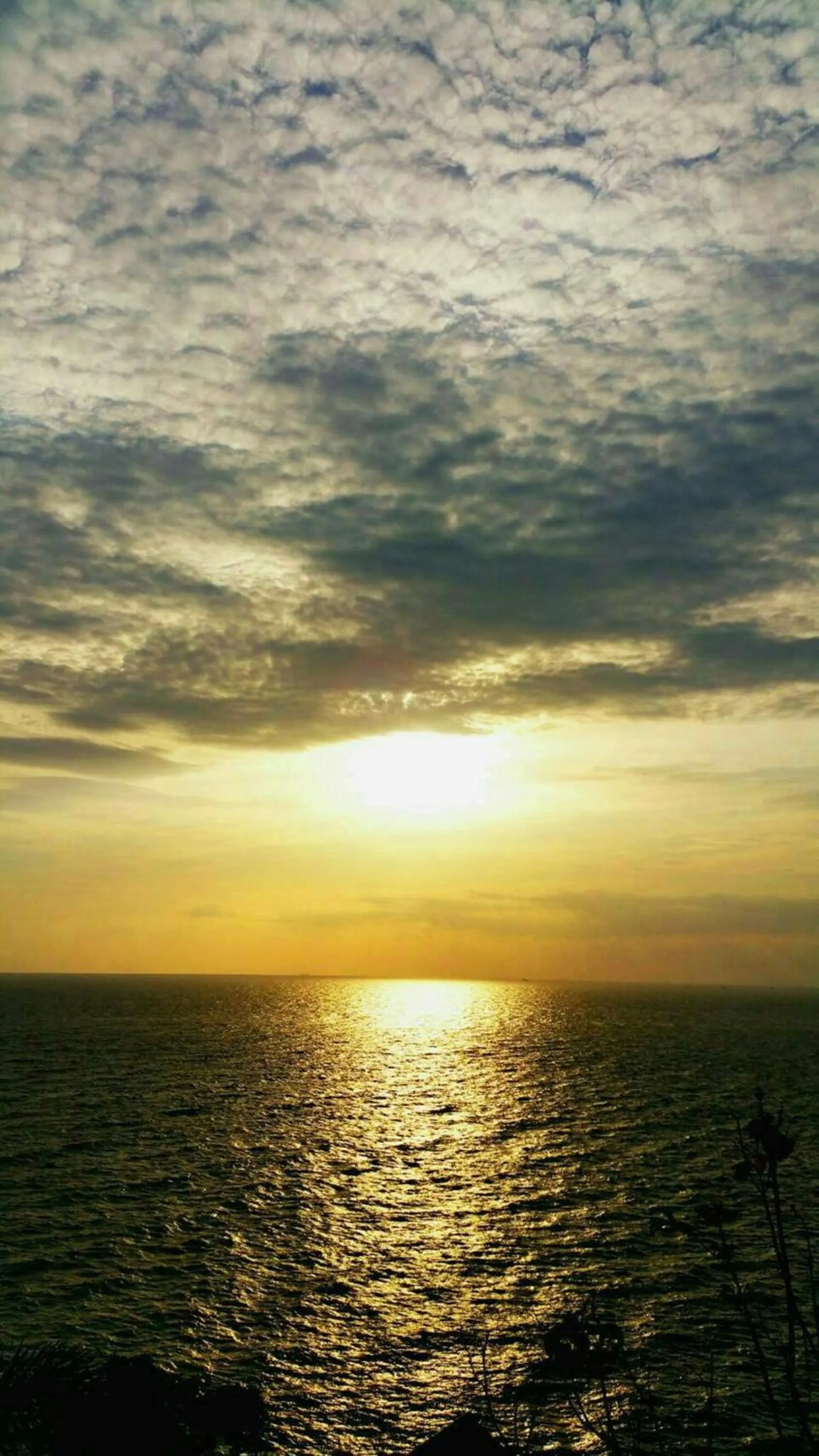 Ocean View Resort - Koh Sichang