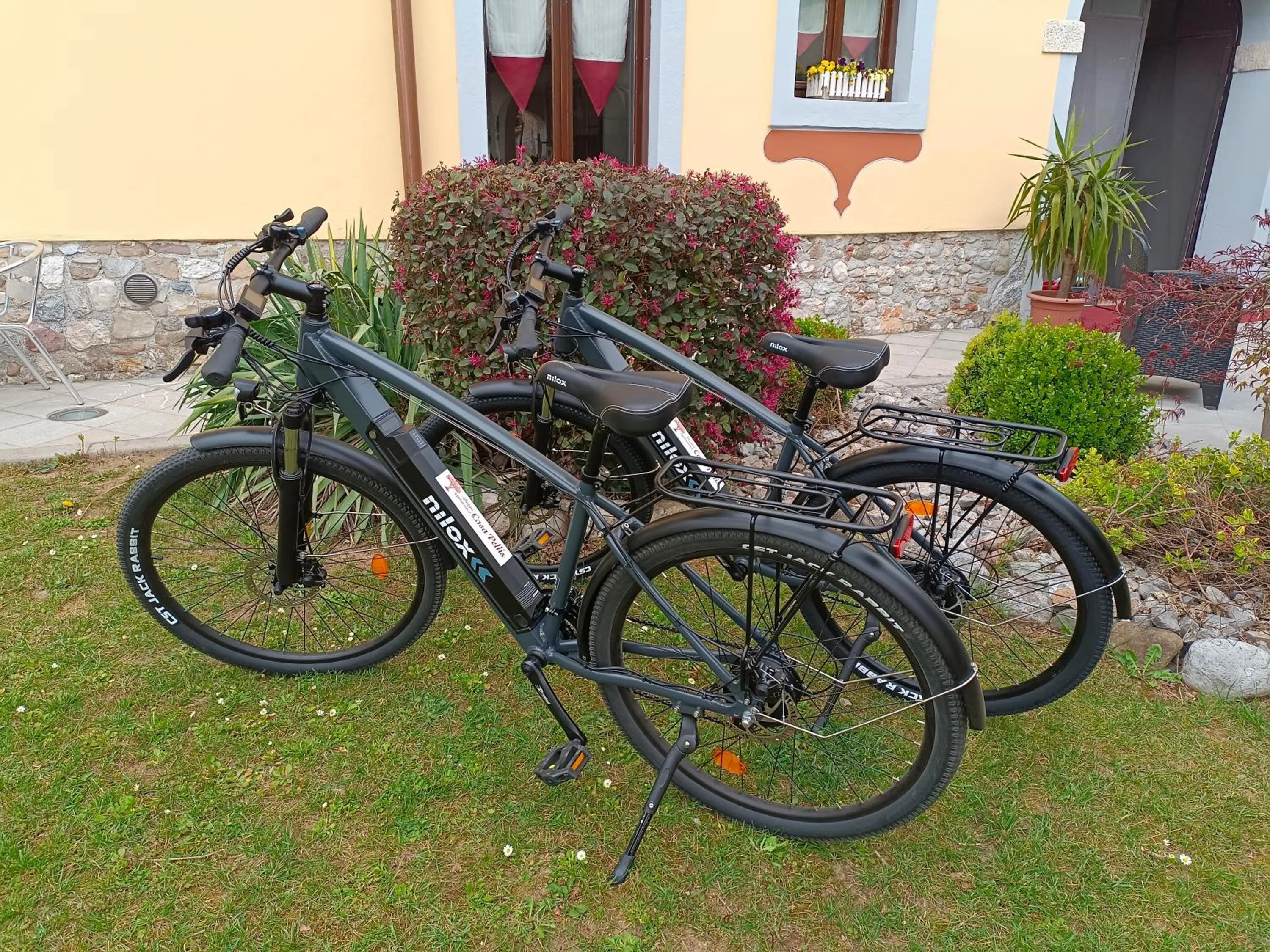 Cycling in Casa Pellis