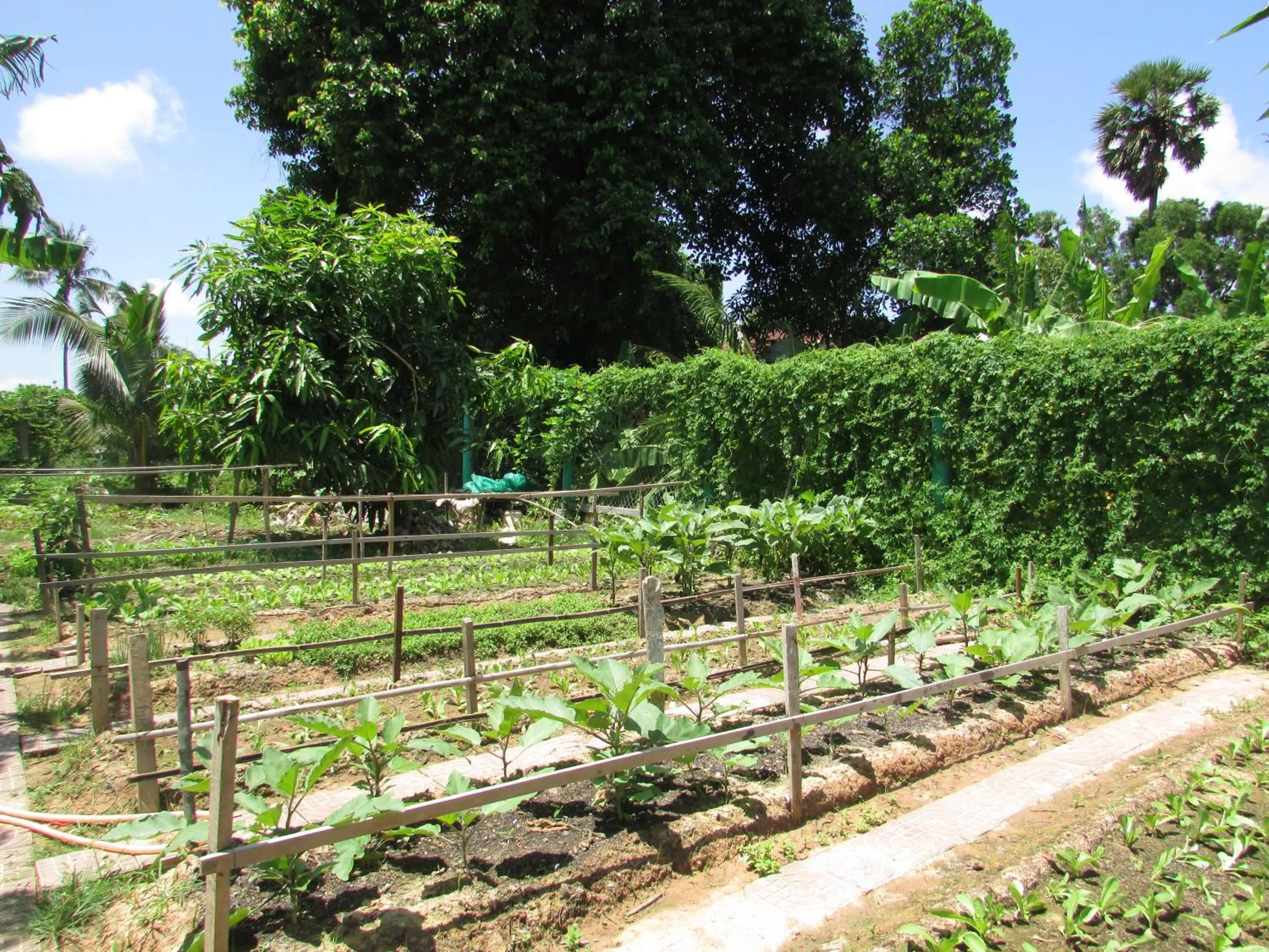 Garden view in Phoumrumduol Bungalow