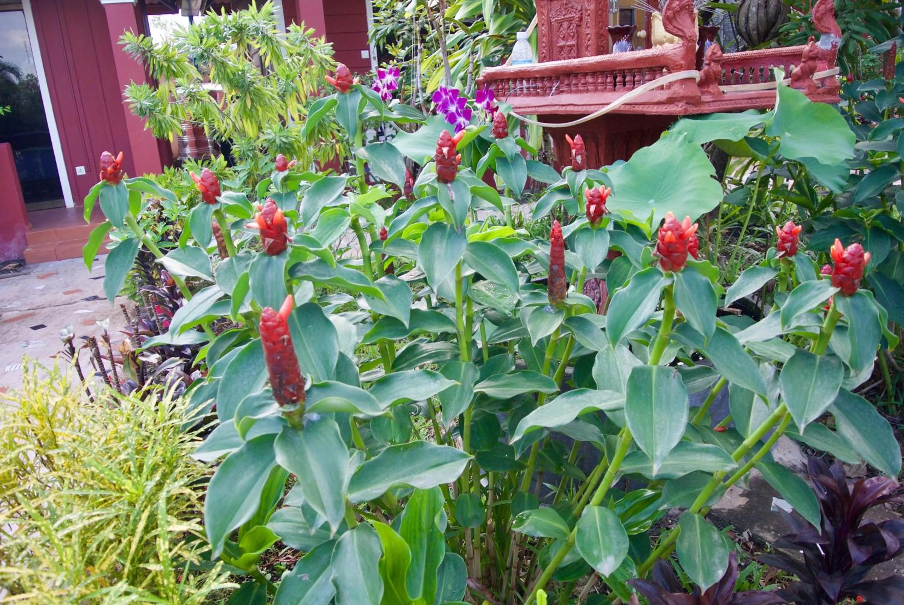 Phoumrumduol Bungalow