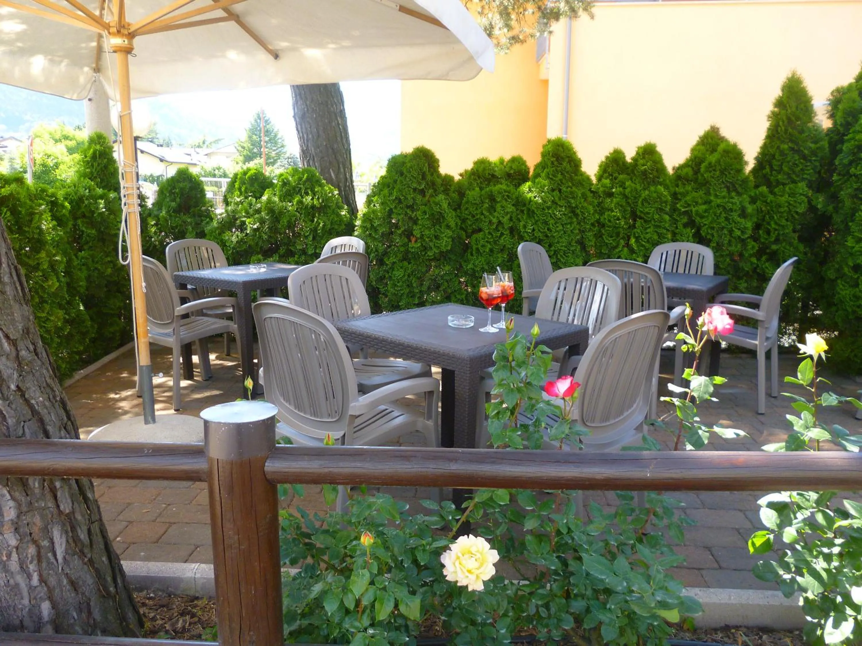 Garden in Hotel Monte Cimone