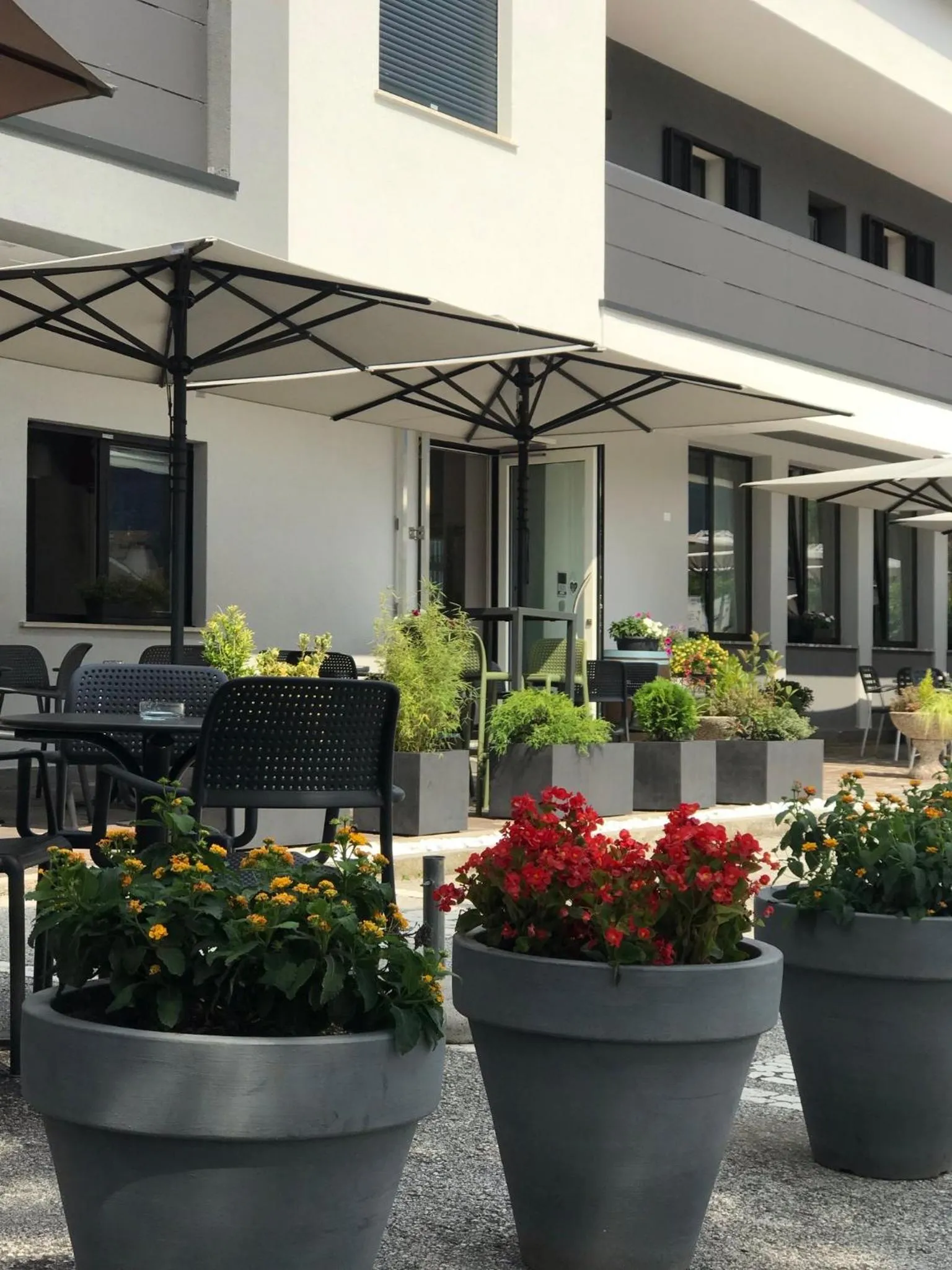 Garden in Hotel Monte Cimone