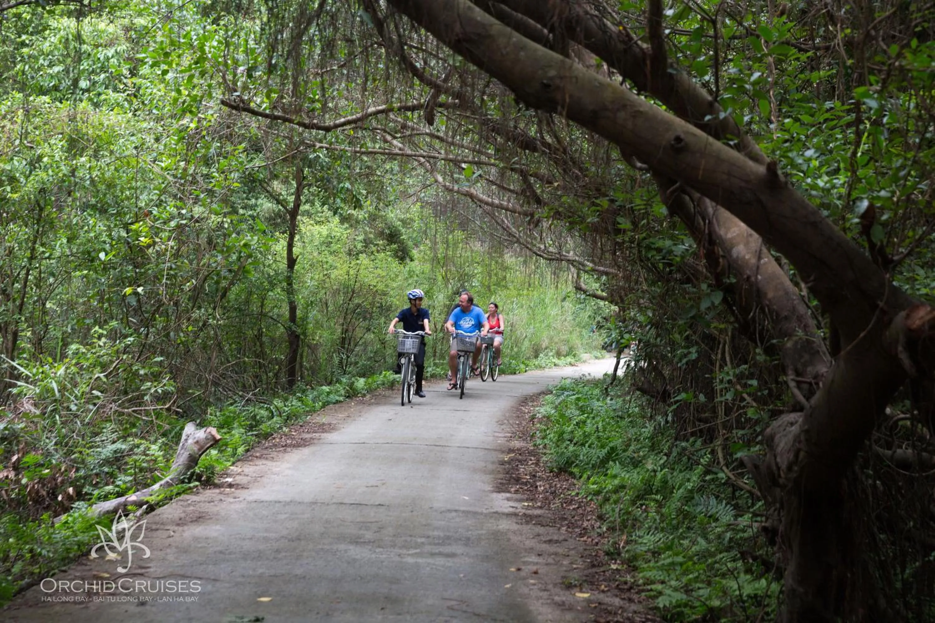 Cycling in Orchid Classic Cruise