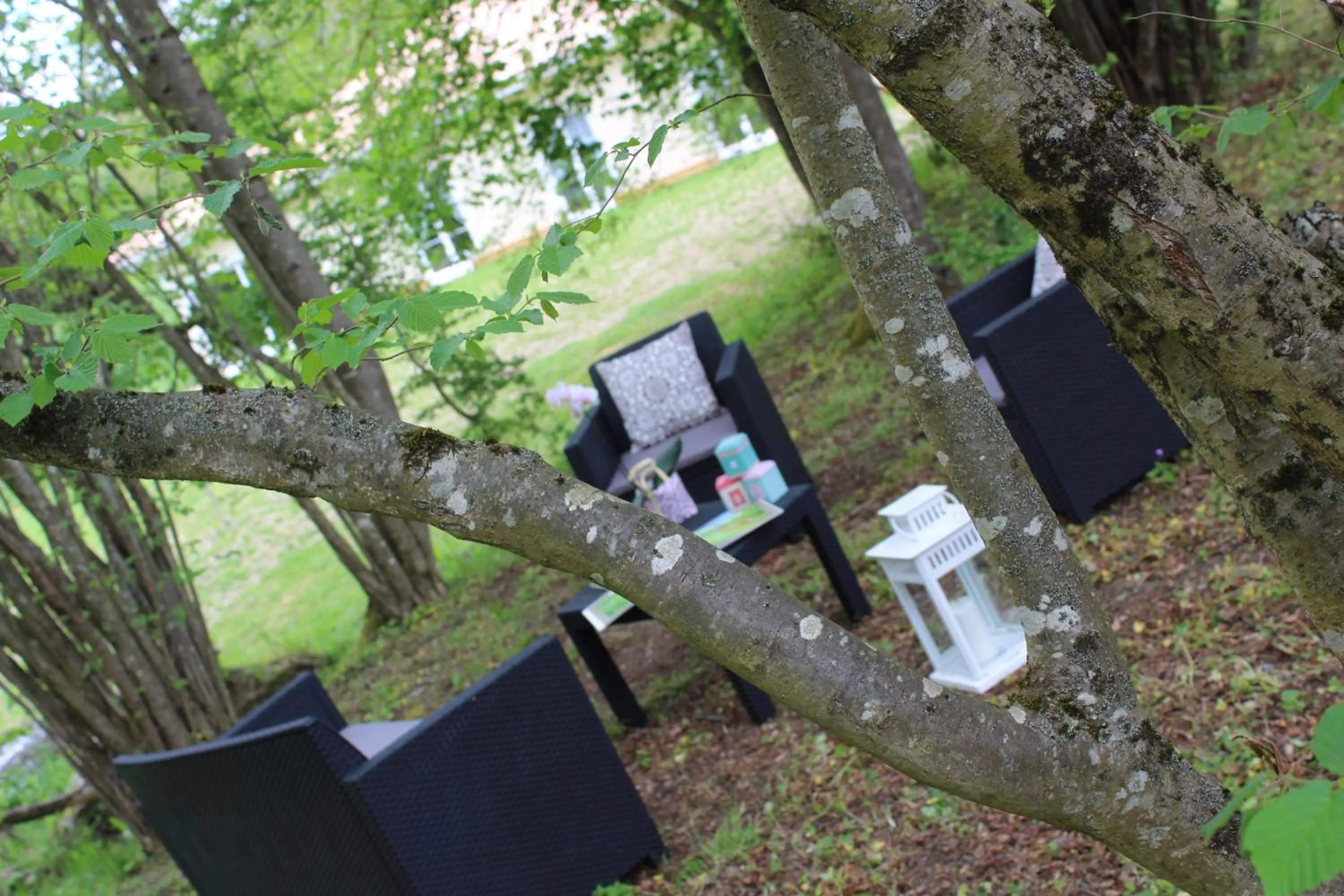 Garden in Du Coté de Lacoume