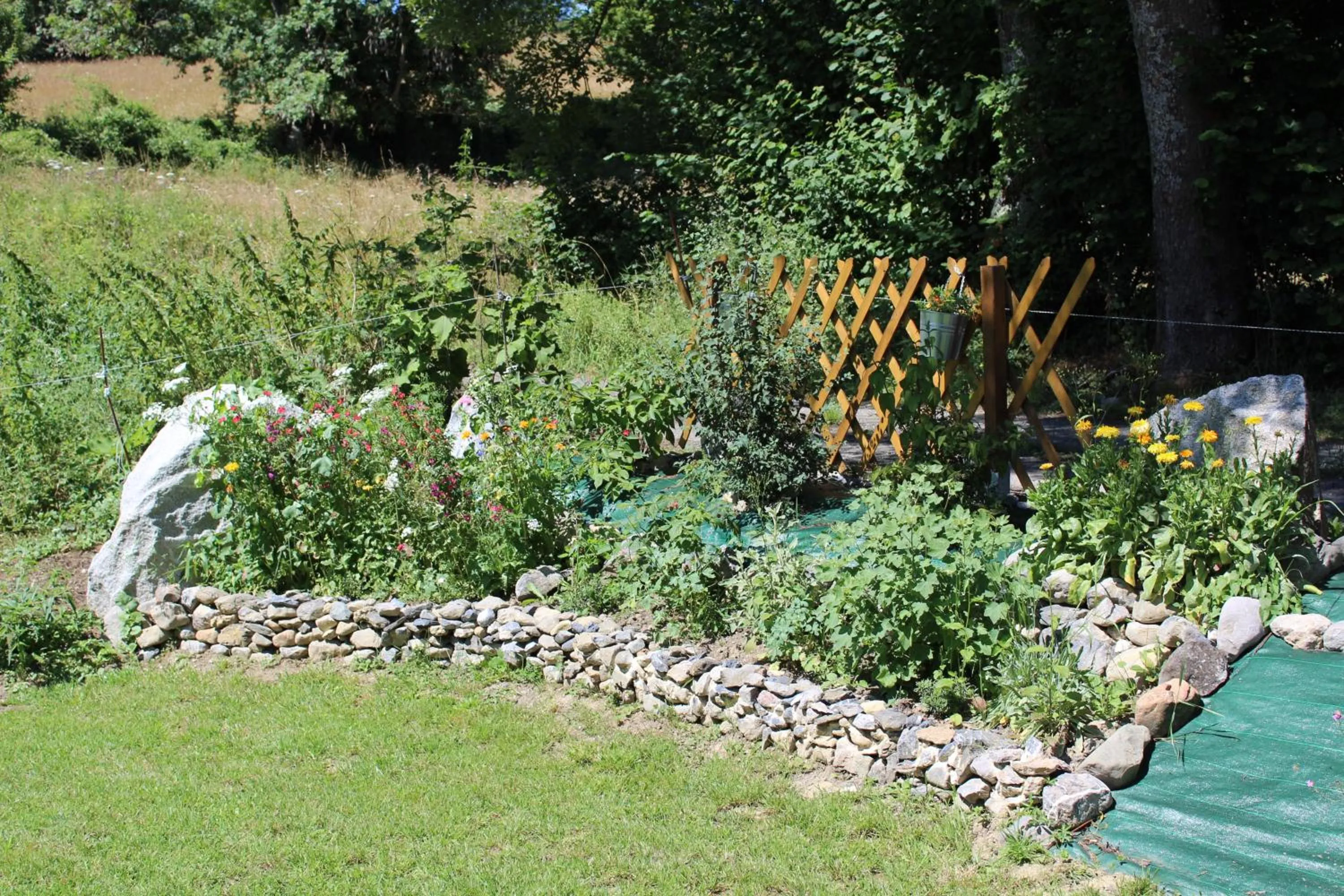 Garden in Du Coté de Lacoume