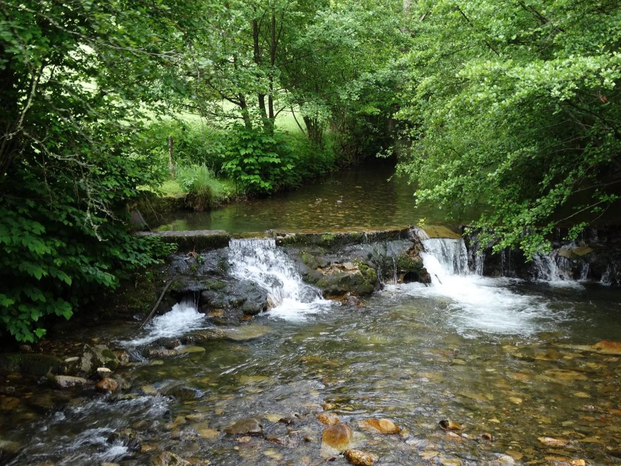 Fishing in Du Coté de Lacoume