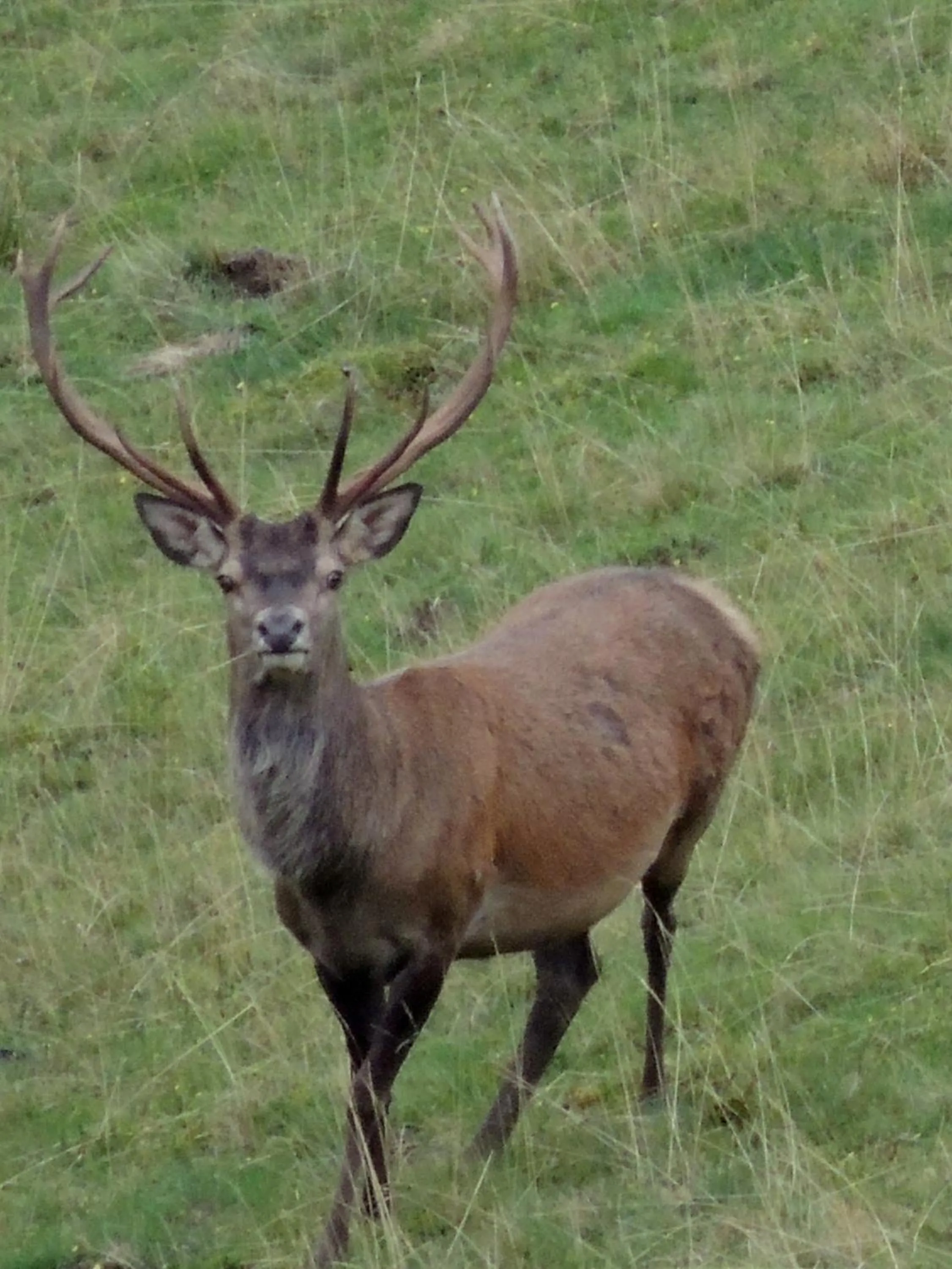 Other in Du Coté de Lacoume