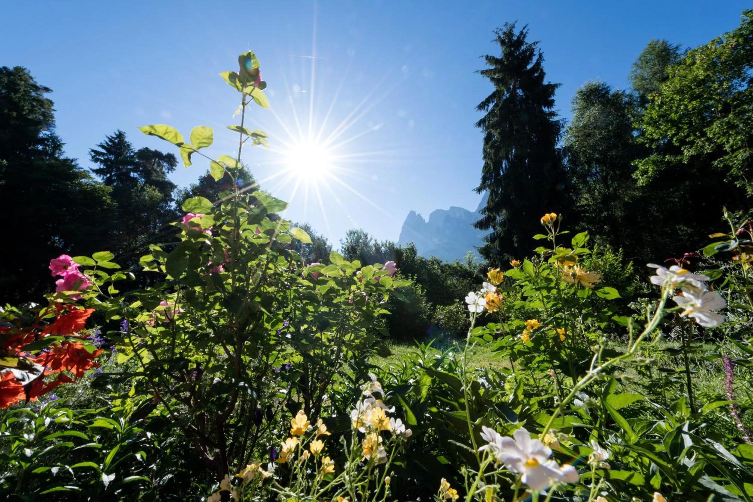 Mountain view in Residence Perwanger