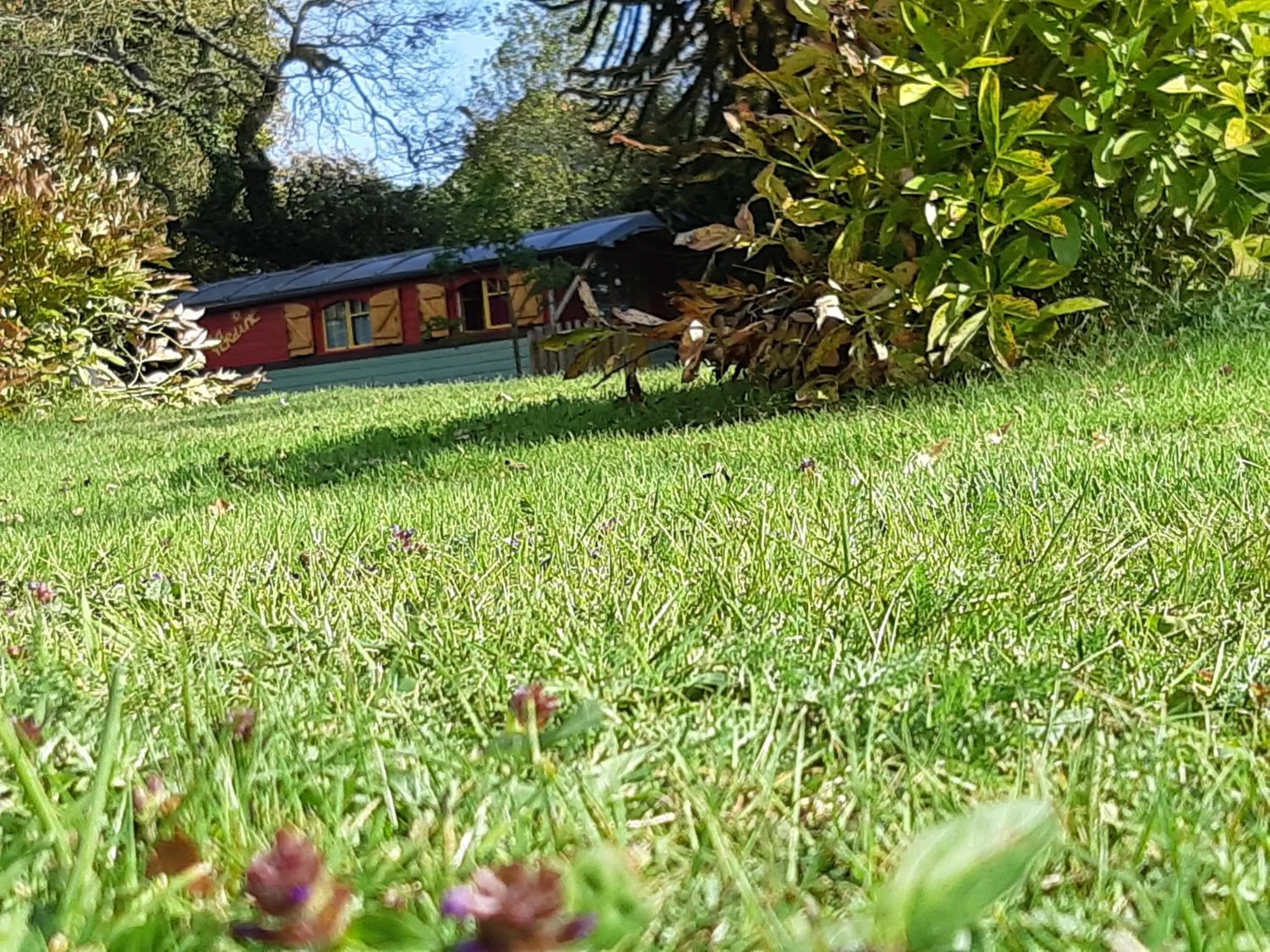 Garden in Roulotte La Verdine