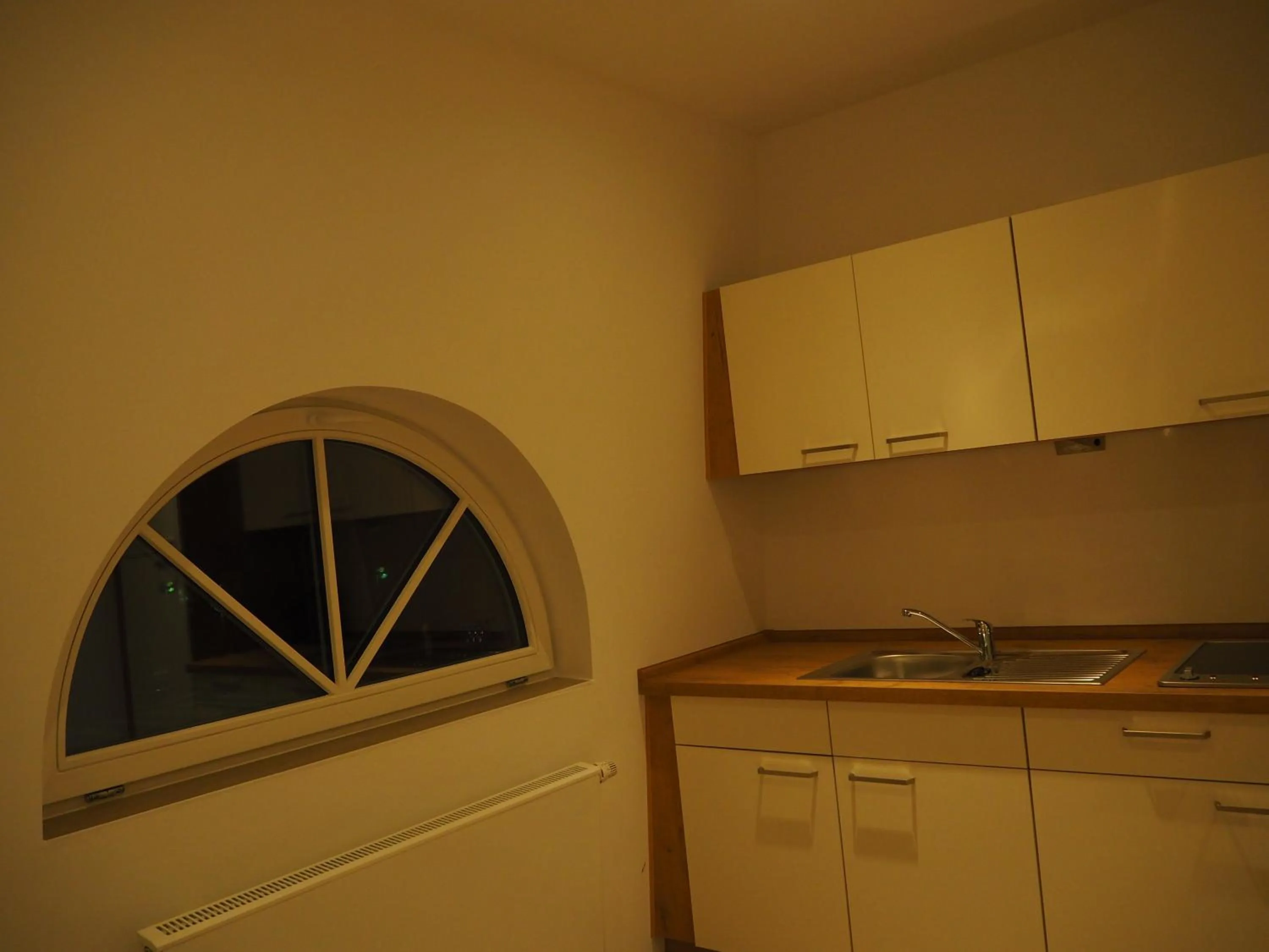 Kitchen or kitchenette in Hotel Havana