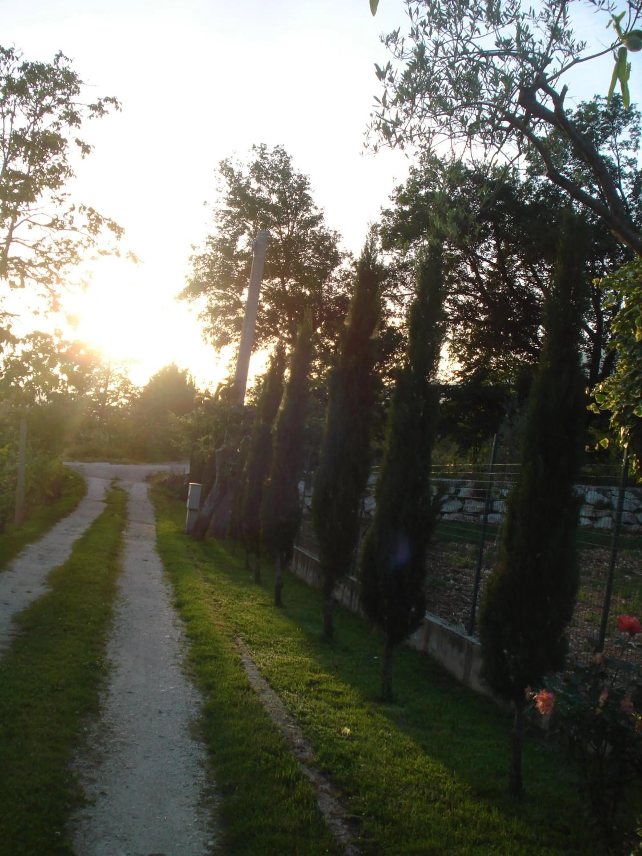 Agriturismo La Fattoria