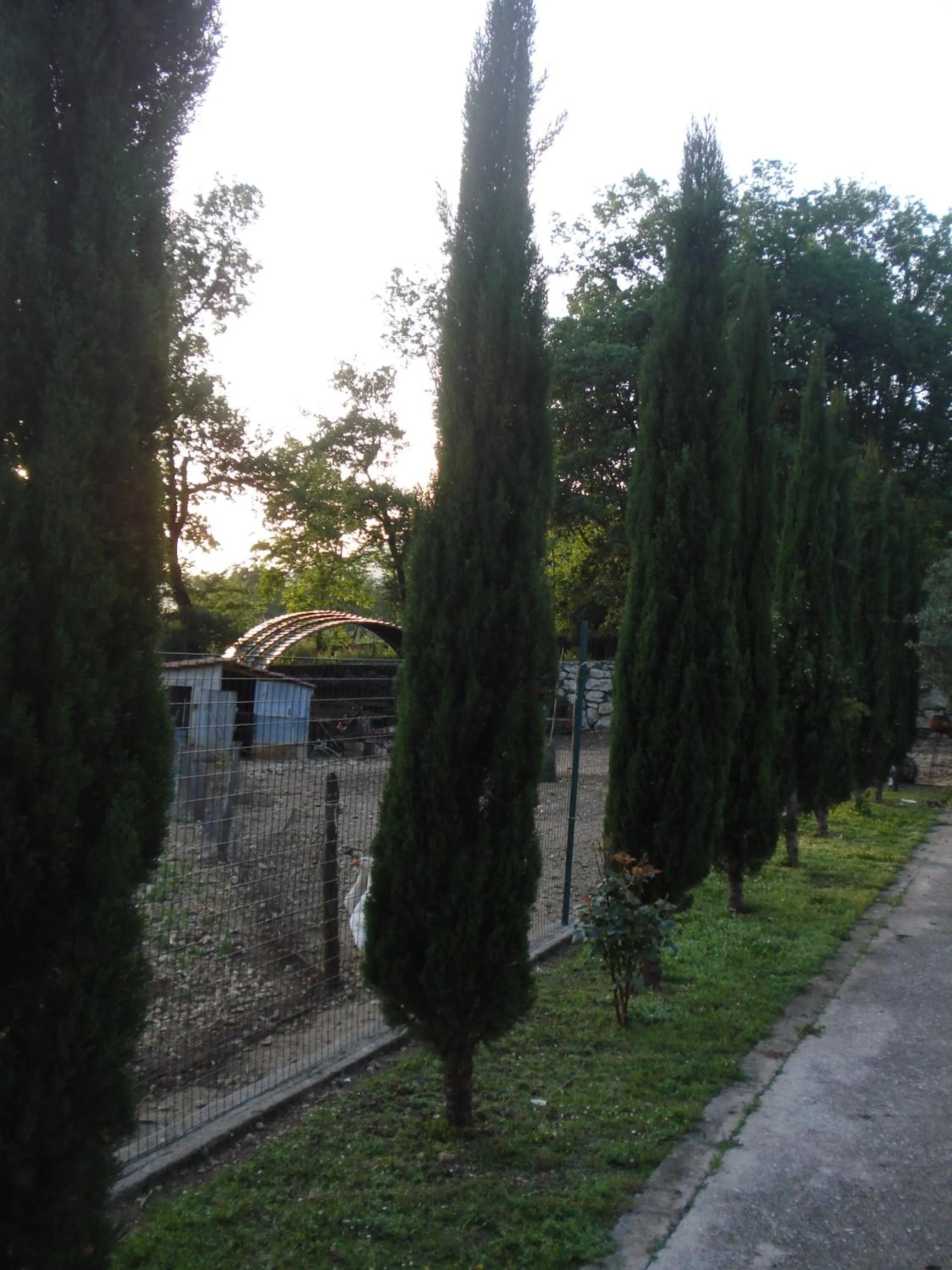 Agriturismo La Fattoria