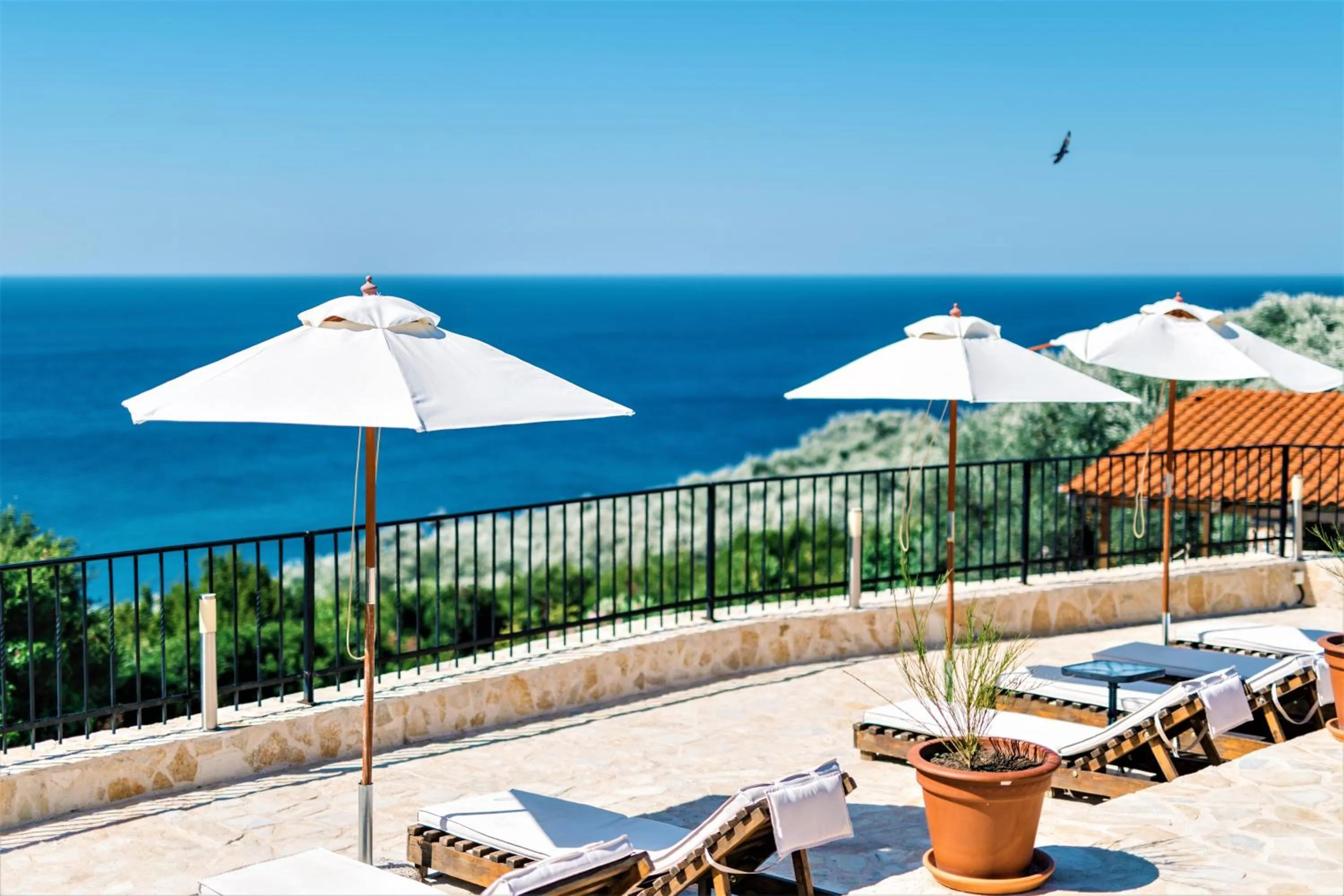 Swimming pool in Holiday Park Olive Tree