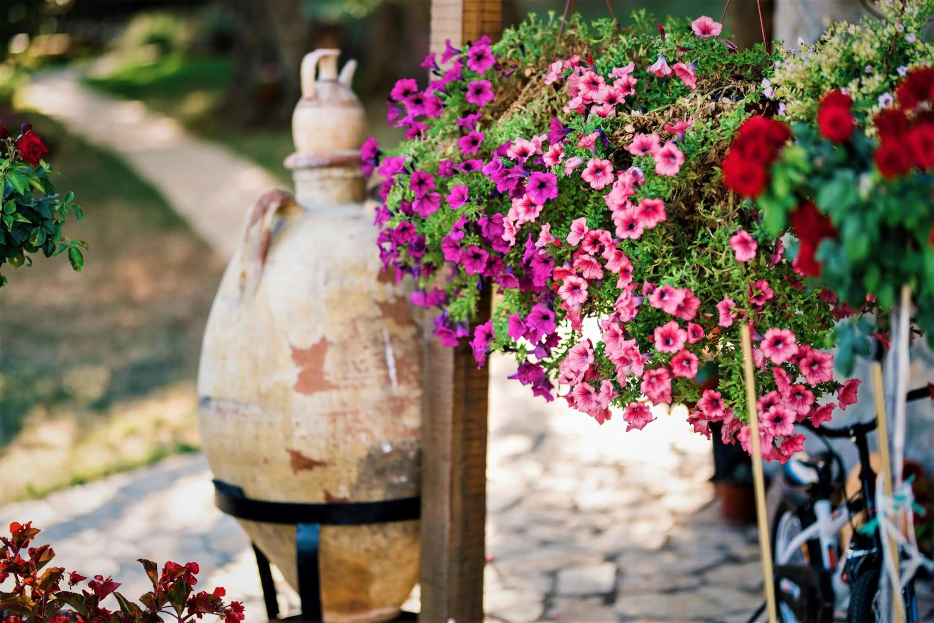 Patio in Holiday Park Olive Tree