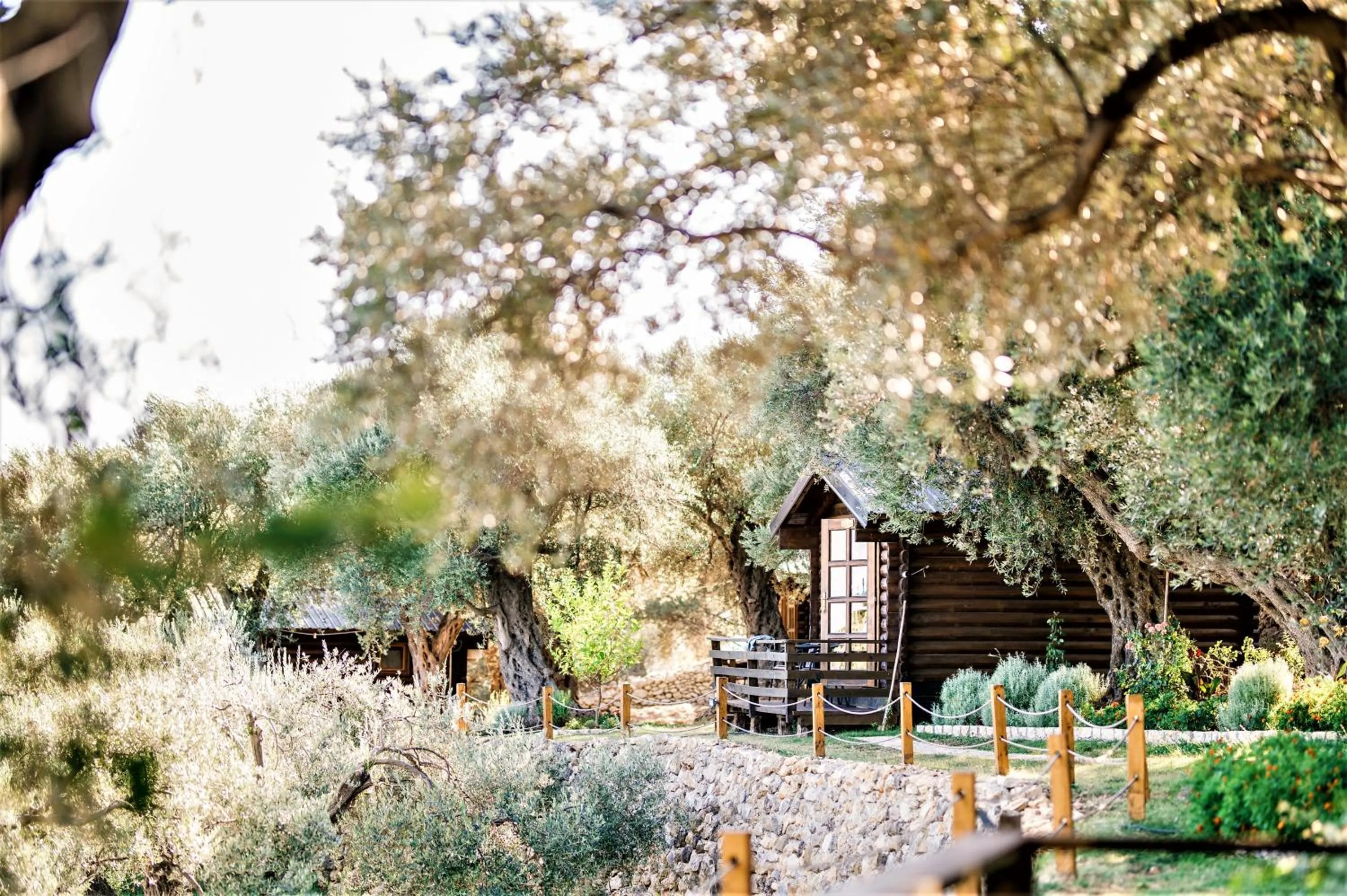 Property building in Holiday Park Olive Tree