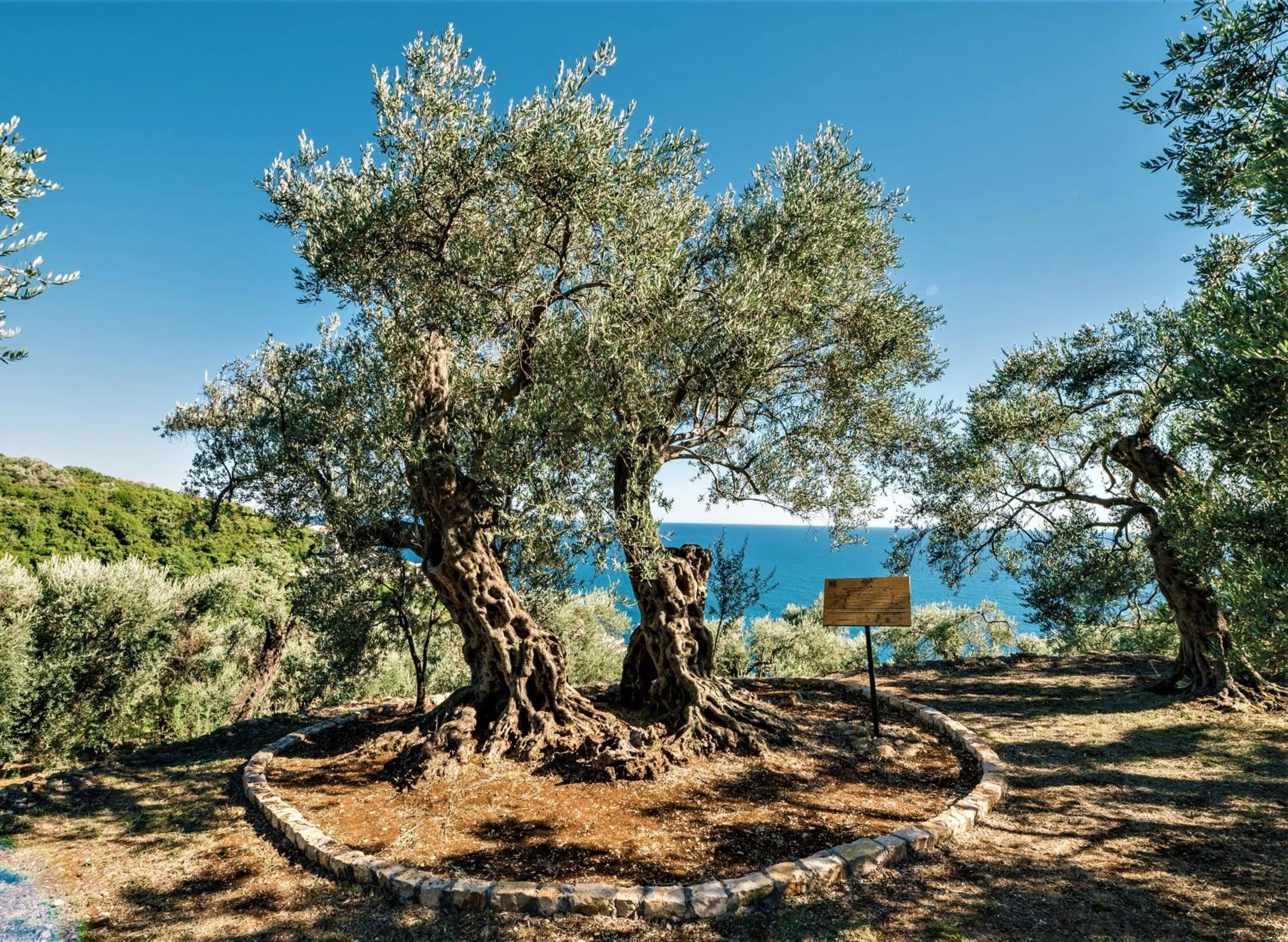 Property building in Holiday Park Olive Tree
