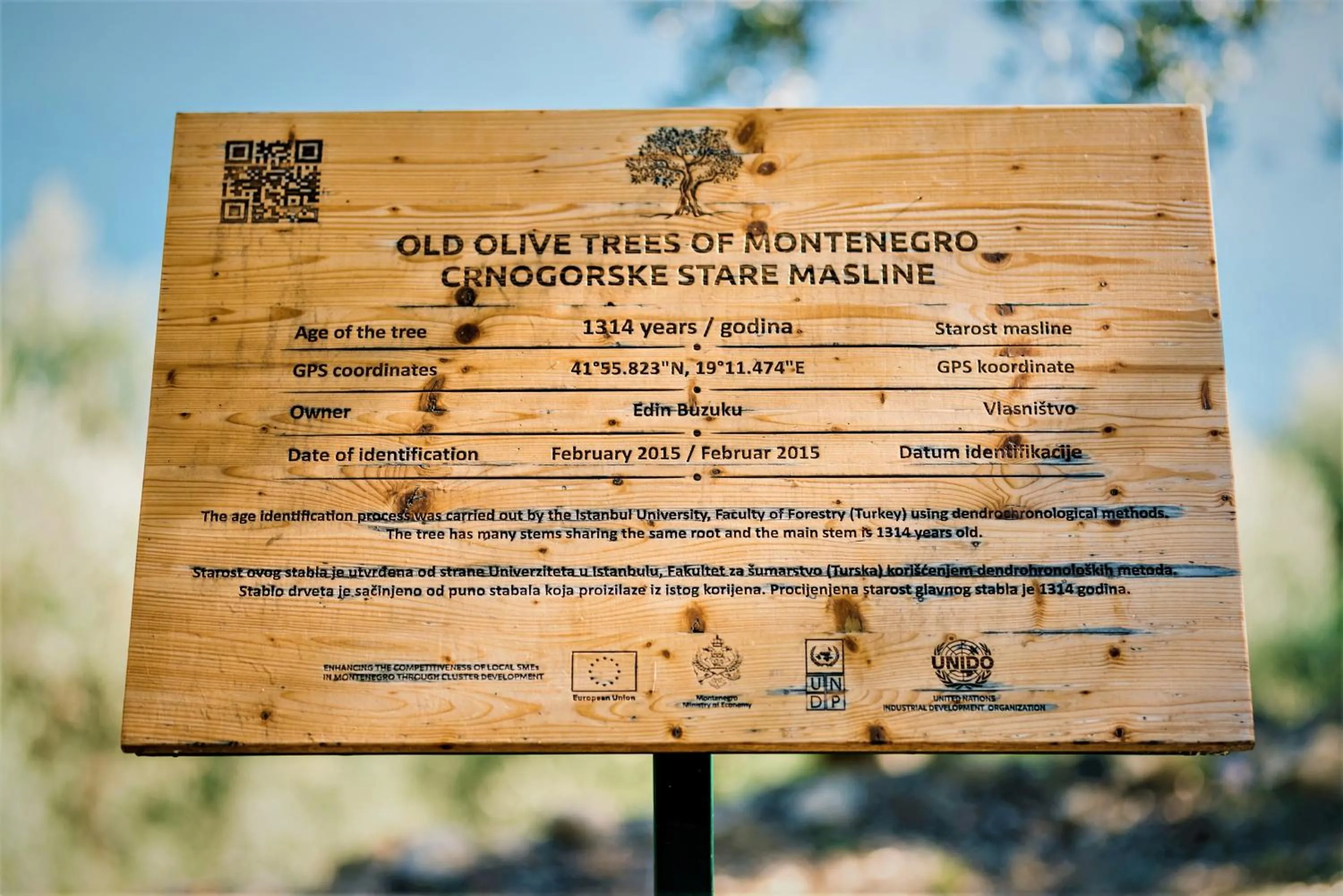 Logo/Certificate/Sign in Holiday Park Olive Tree