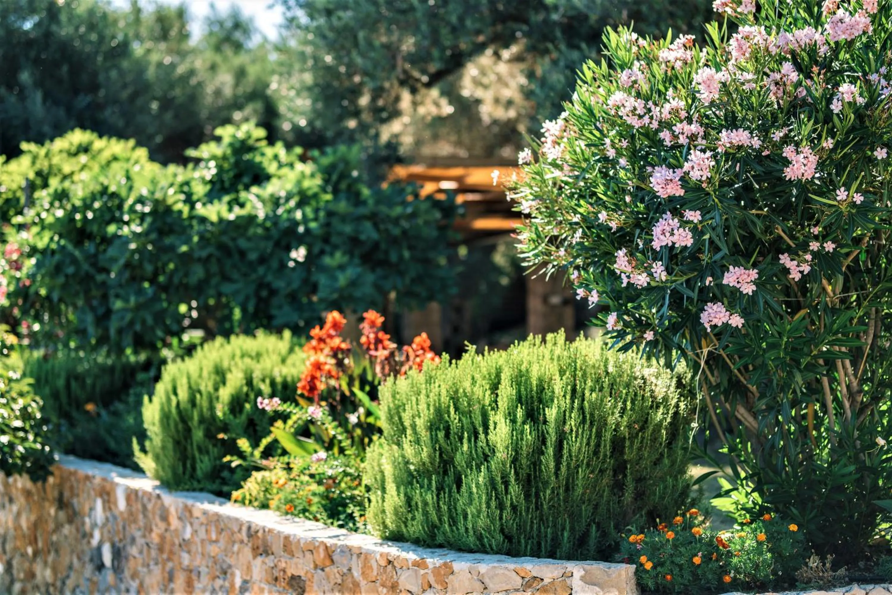 Garden view in Holiday Park Olive Tree