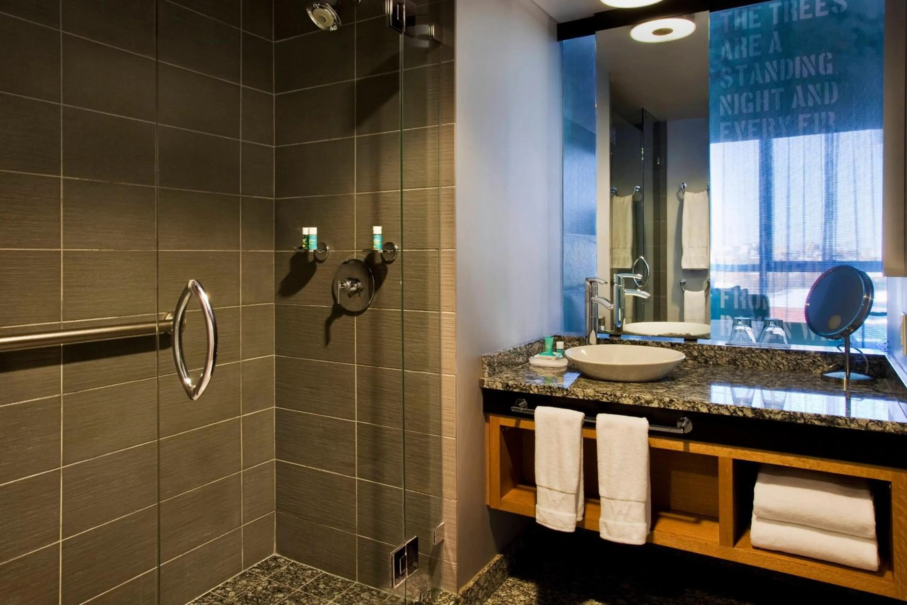 Bathroom in W Boston