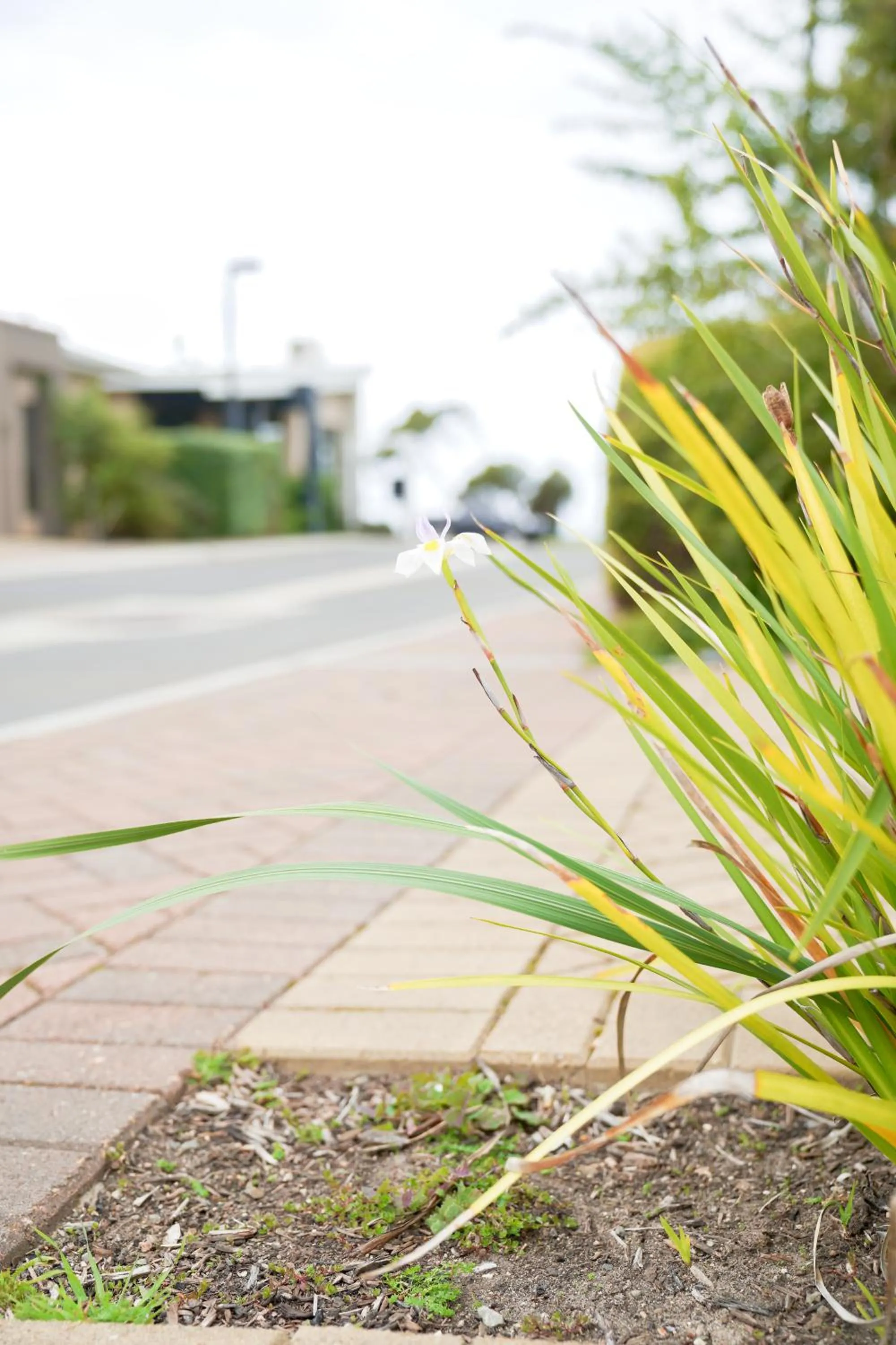 Natural landscape in Villas on the Bay Kingscote