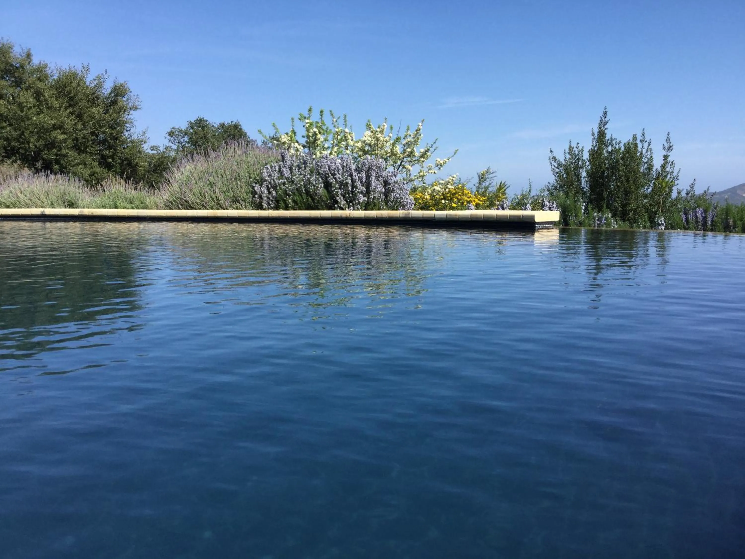 Garden in Le Tre Civette - Residenza di Campagna