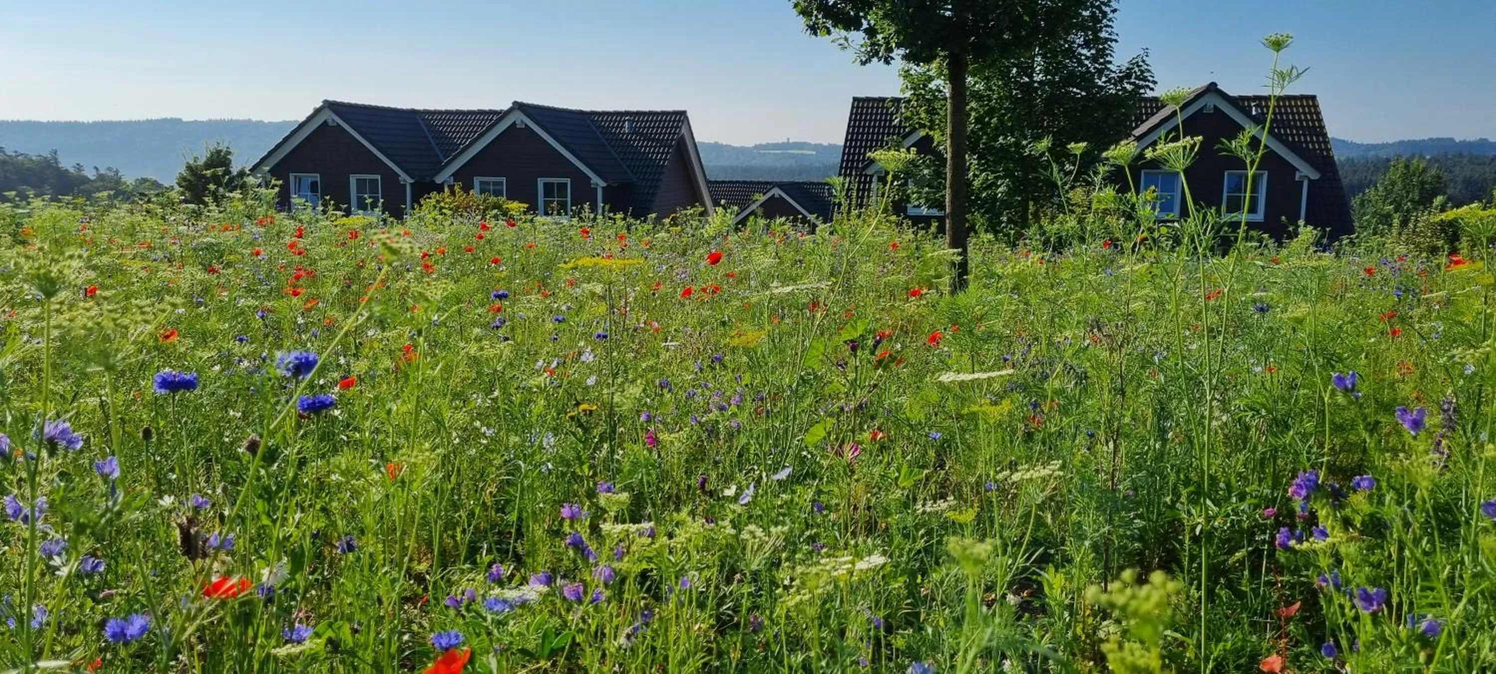 Spring in Nürburgring Ferienpark