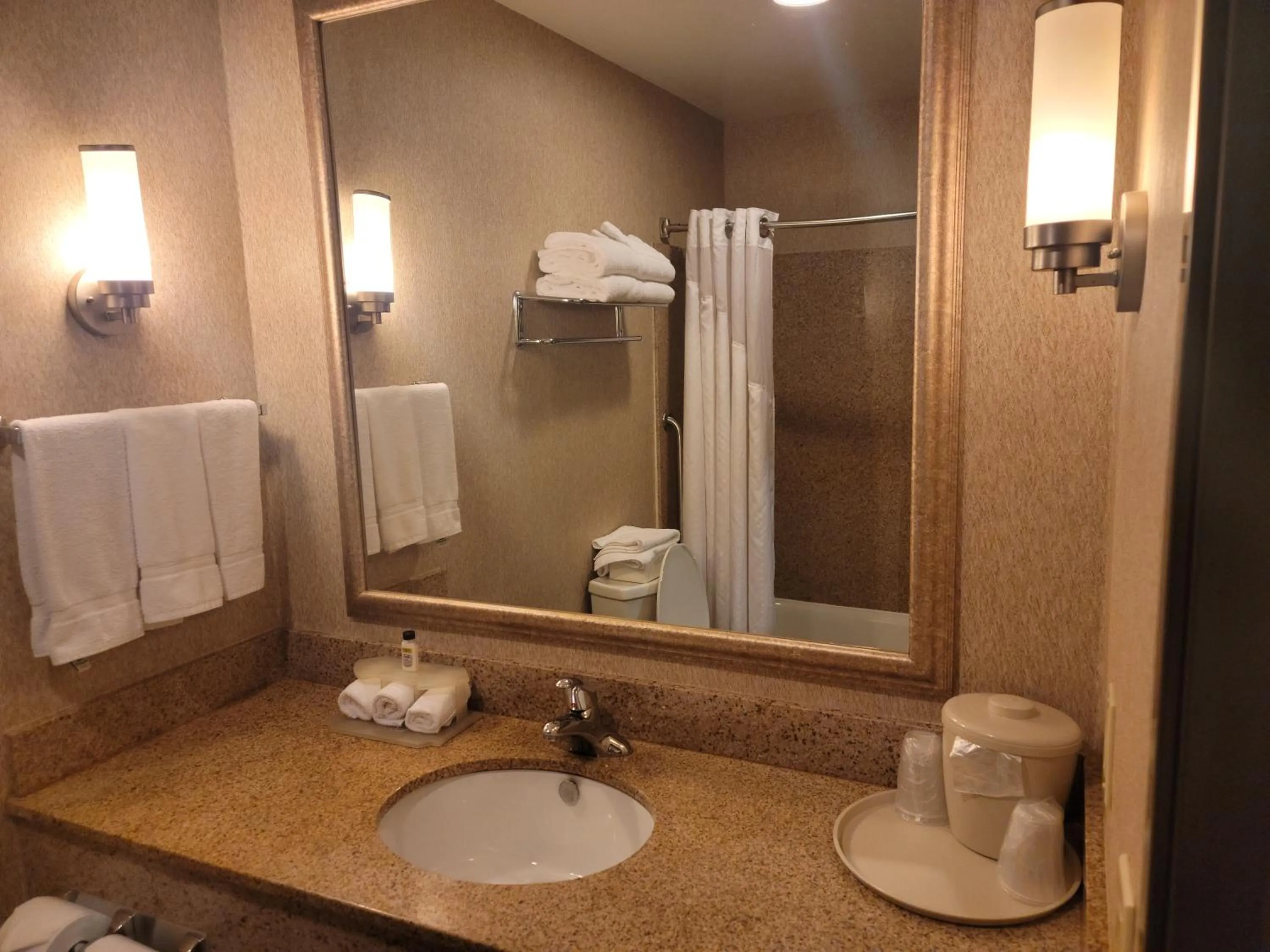 Deluxe King Room in Holiday Inn Express San Diego South - Chula Vista by IHG