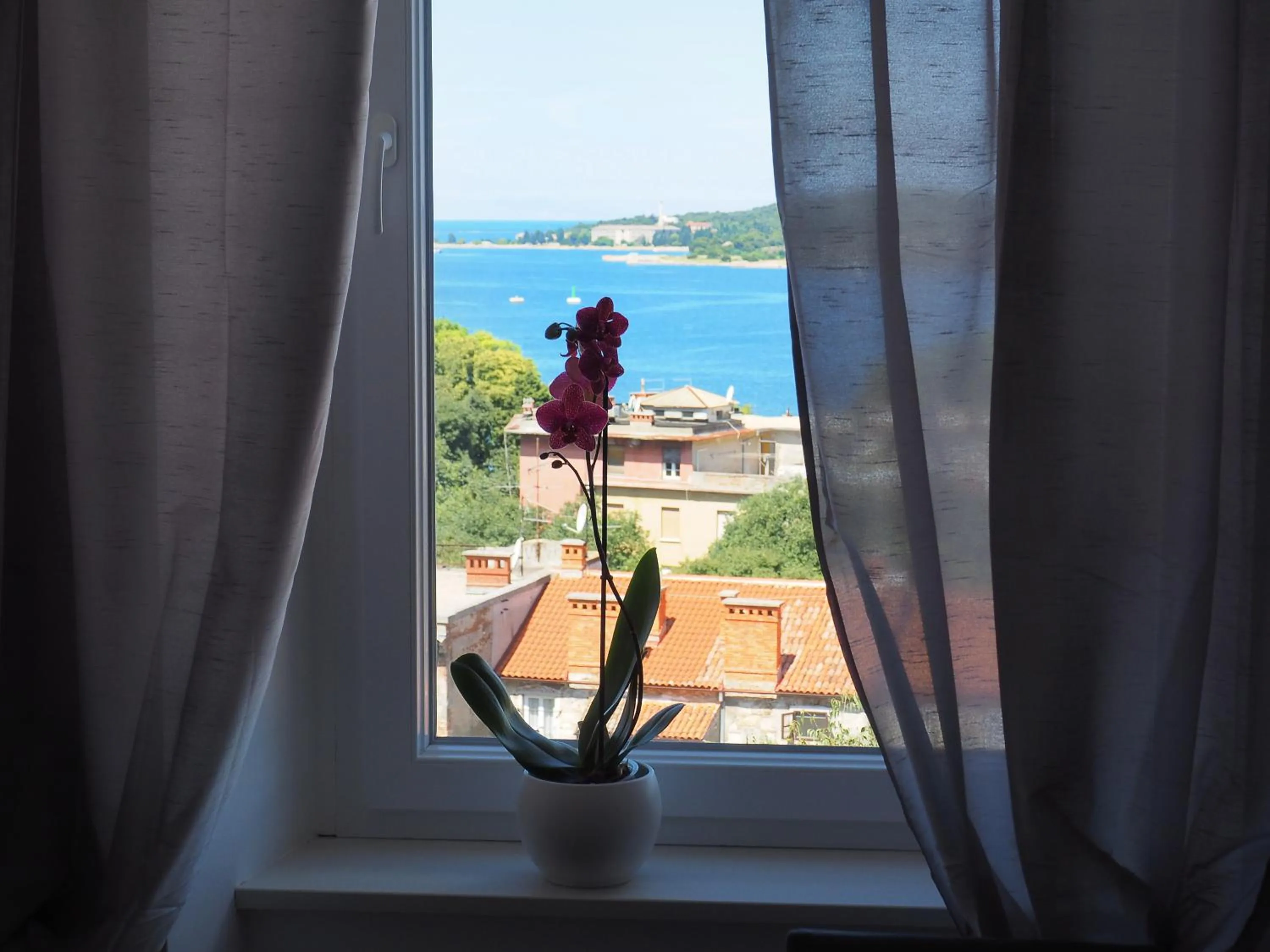 Decorative detail in Captain Emo City Apartments