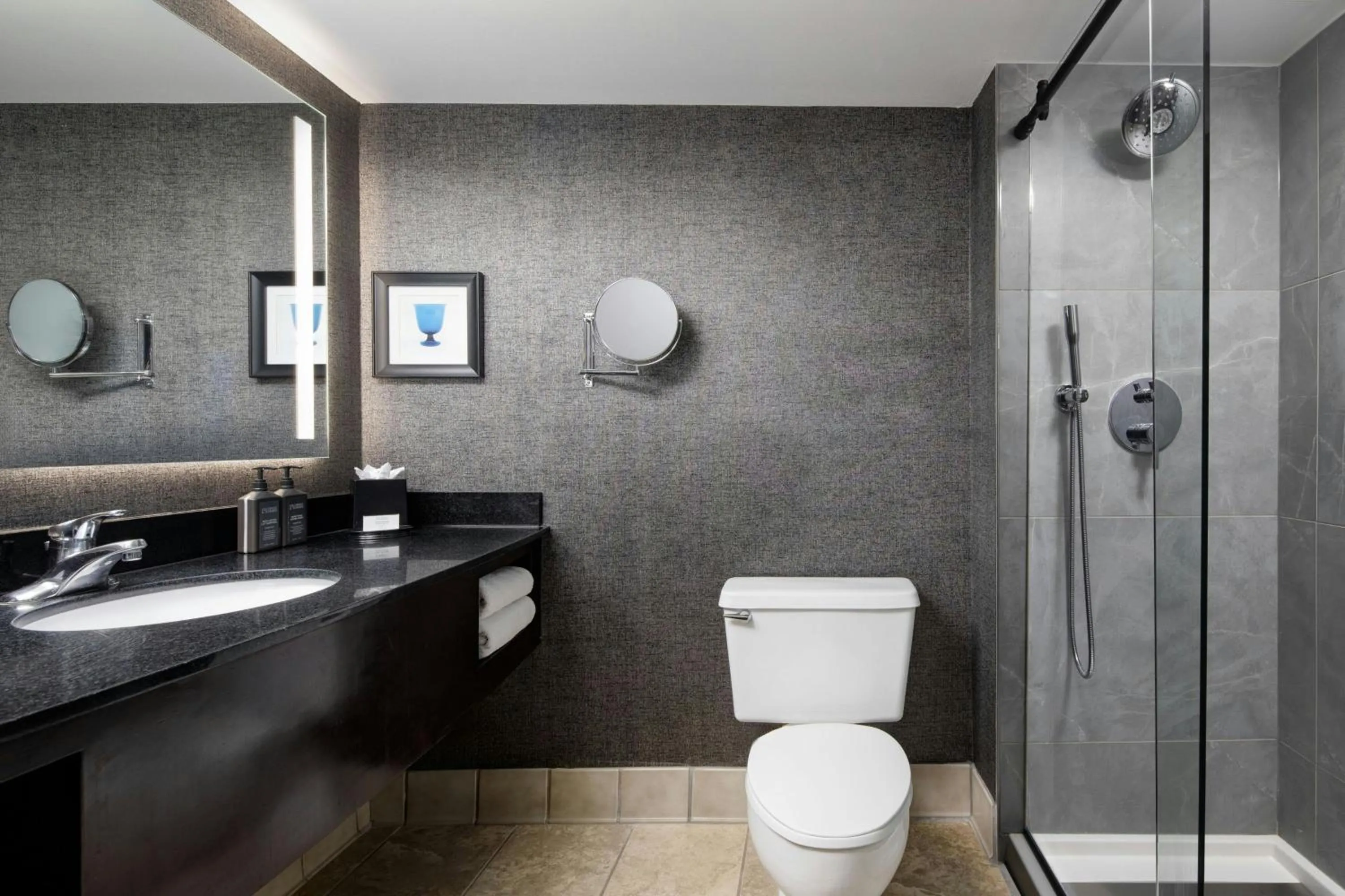 Bathroom in Sheraton DFW Airport Hotel