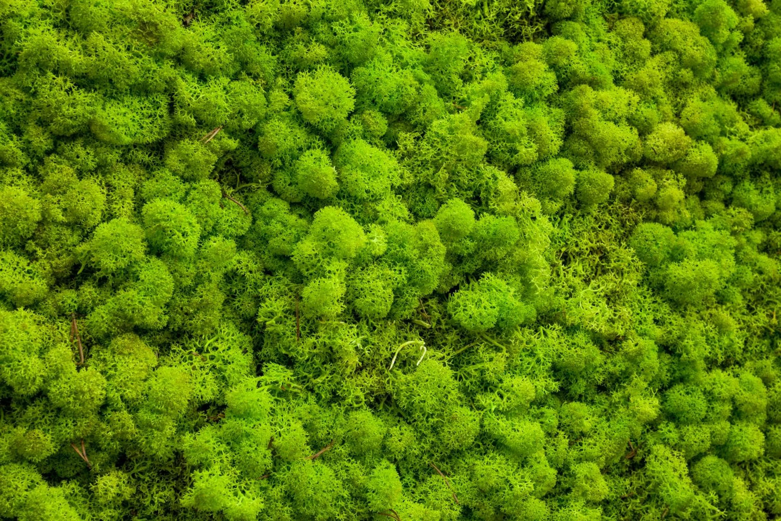 Property building in Sud Ibiza Suites