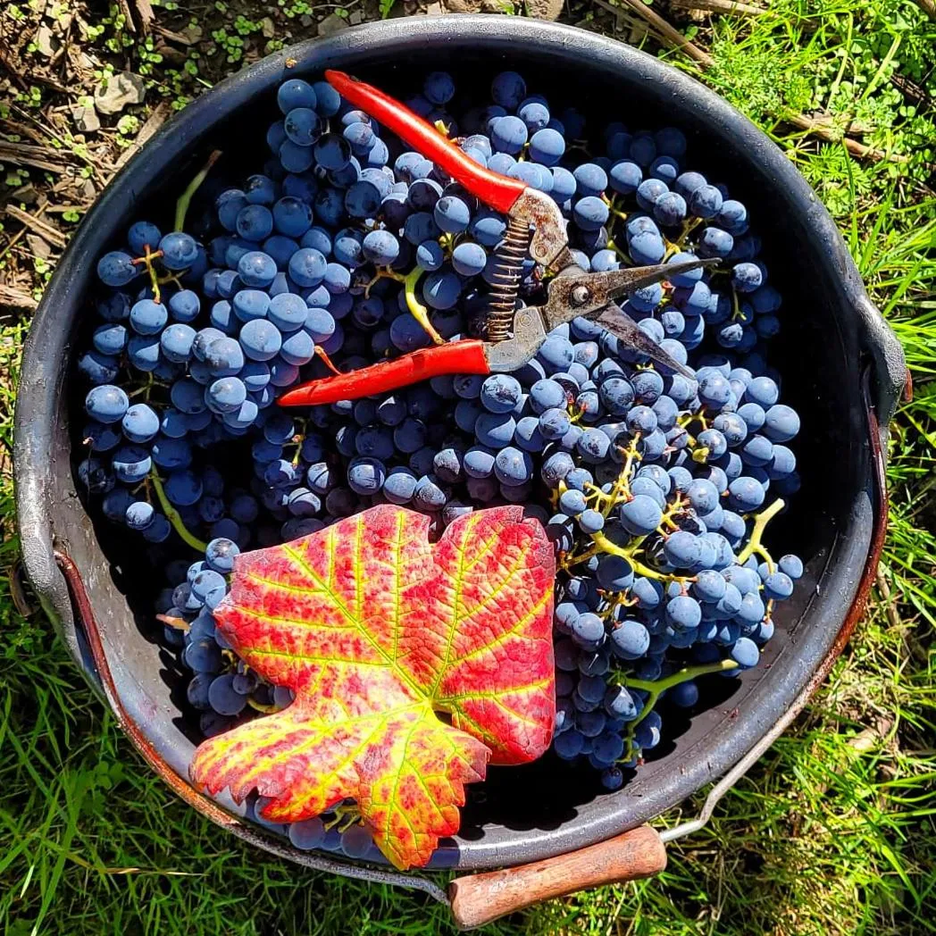 Off site in Pension Rehschopp