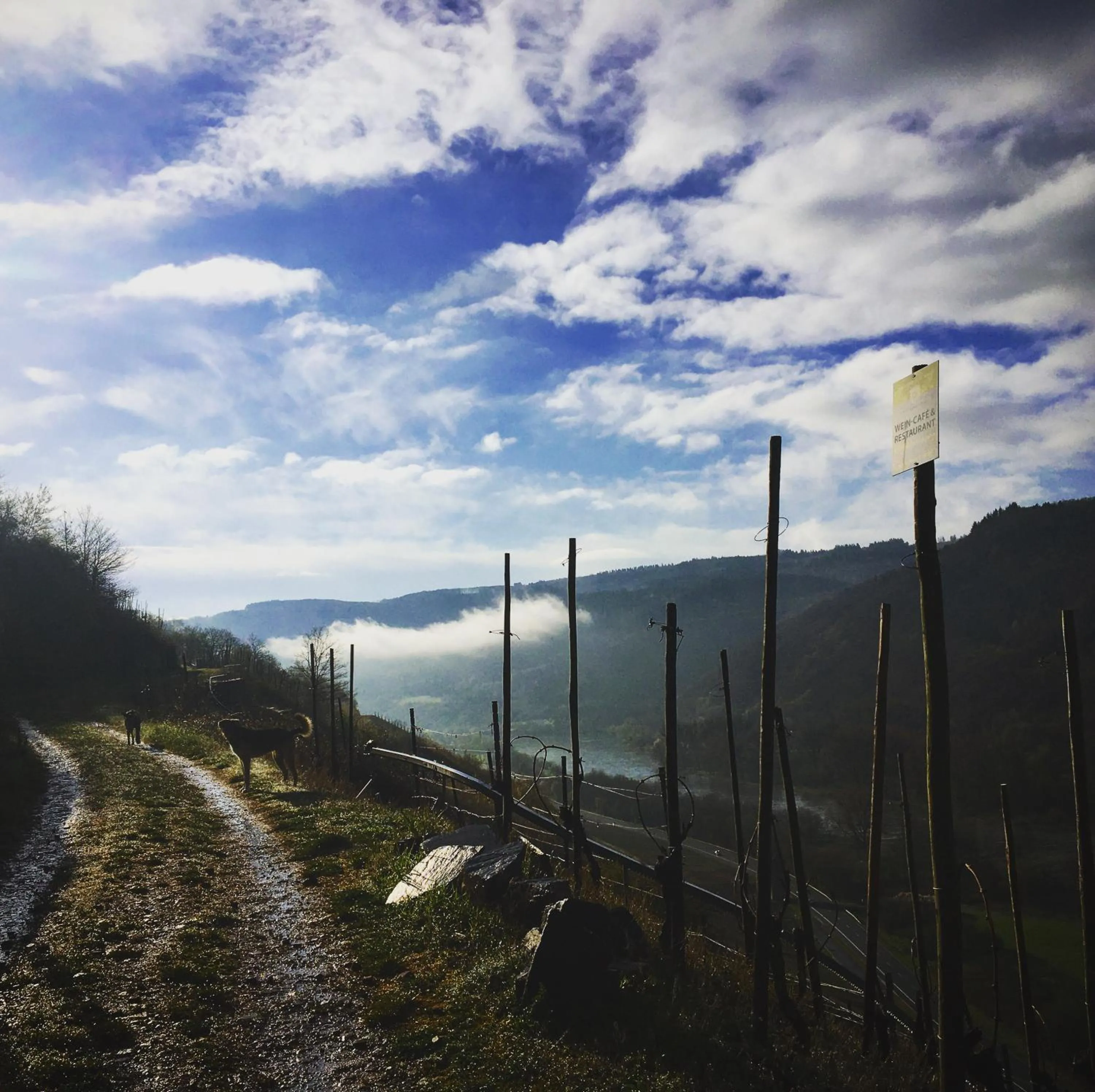 Spring in Pension Rehschopp