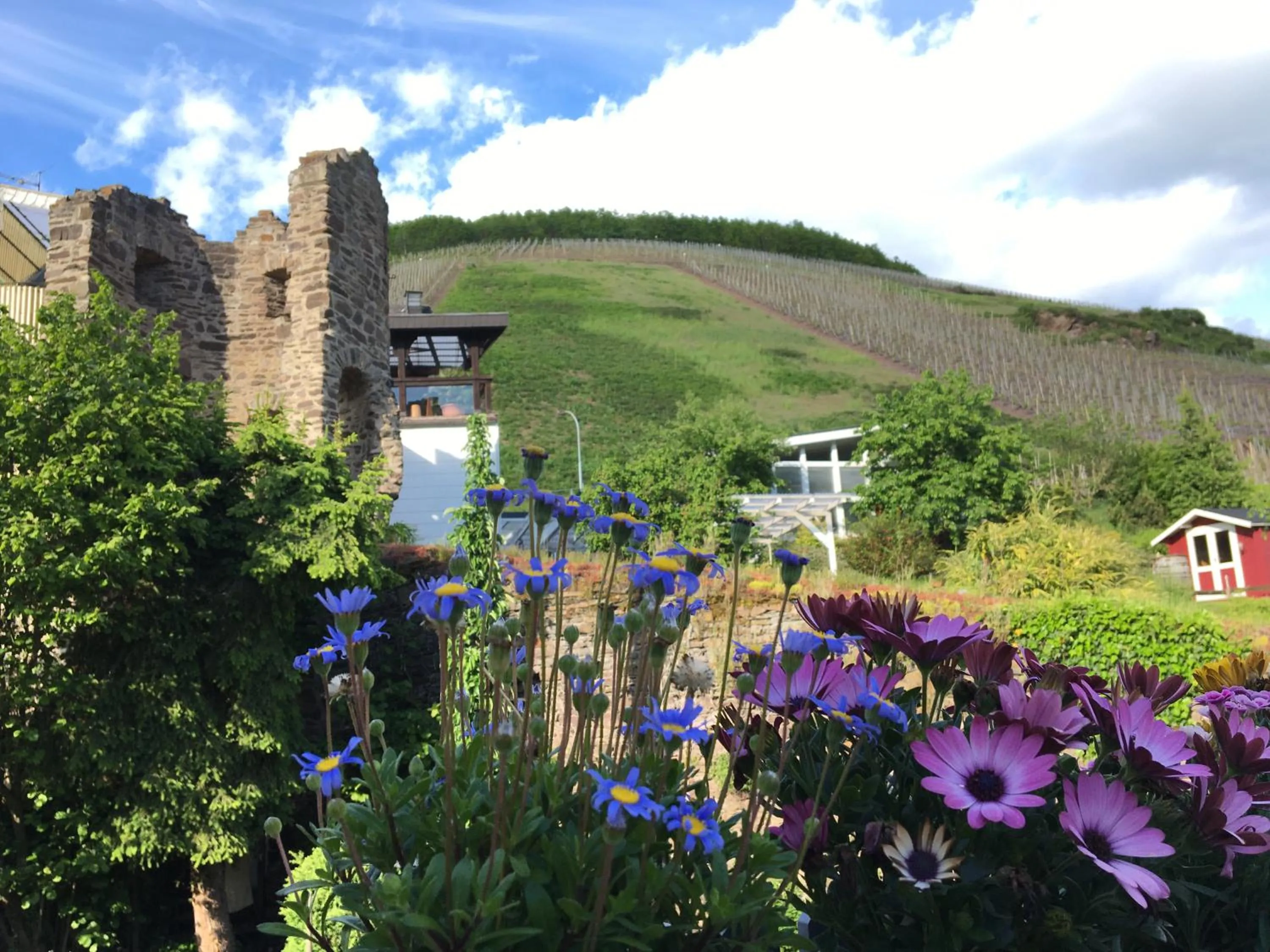 View (from property/room) in Pension Rehschopp