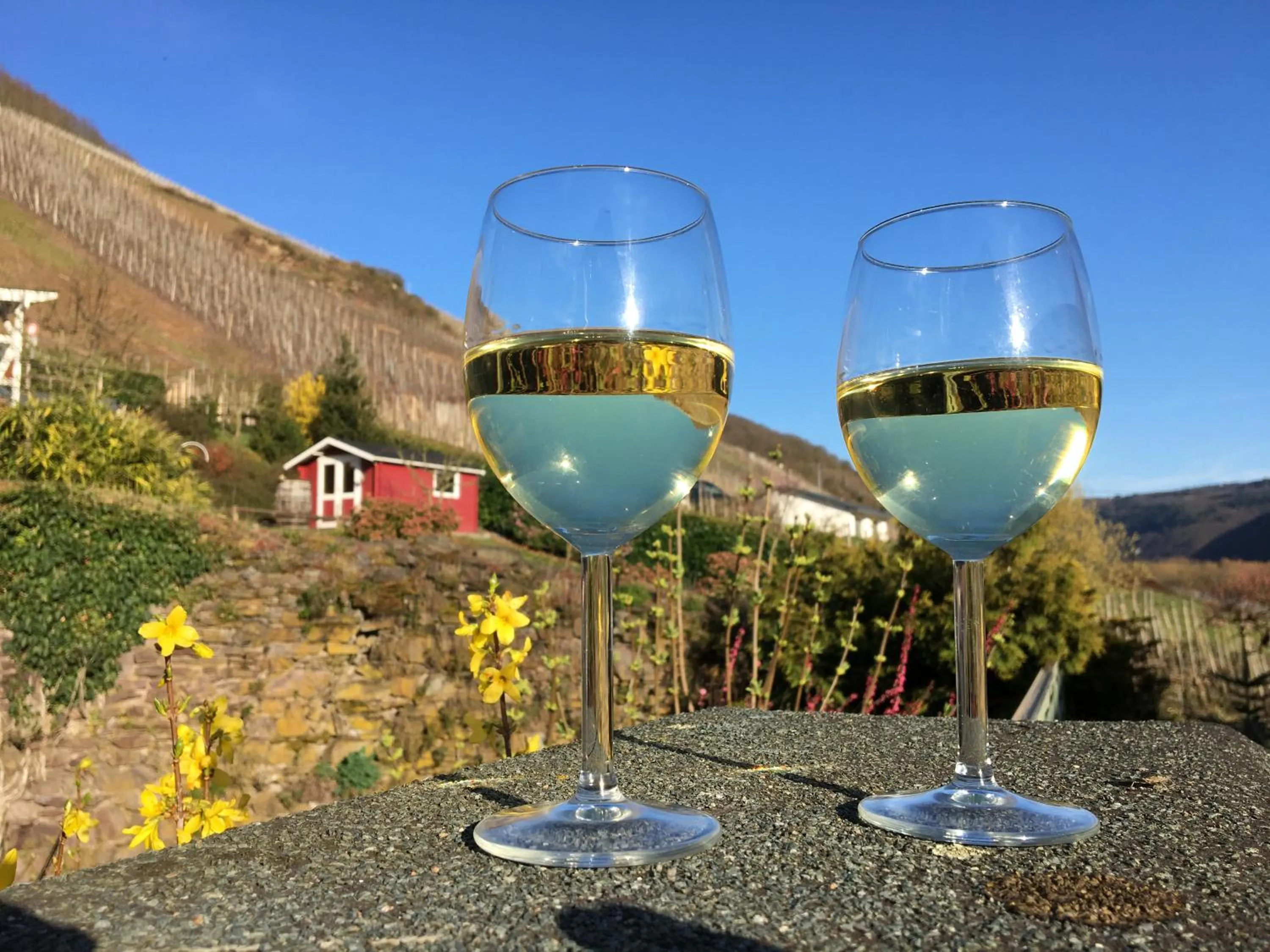 View (from property/room) in Pension Rehschopp