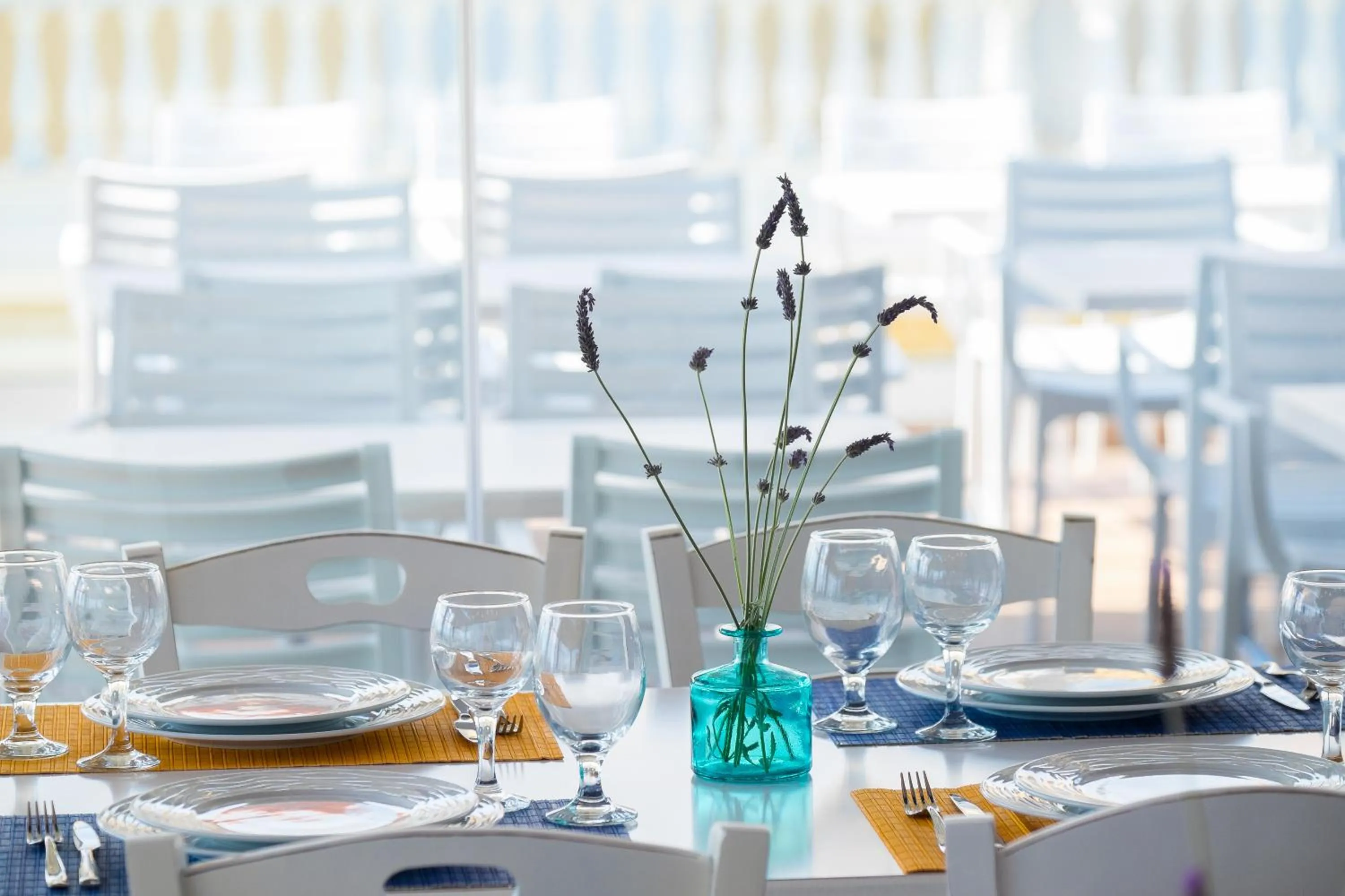 Patio in Must Boutique Hotel & Restaurant