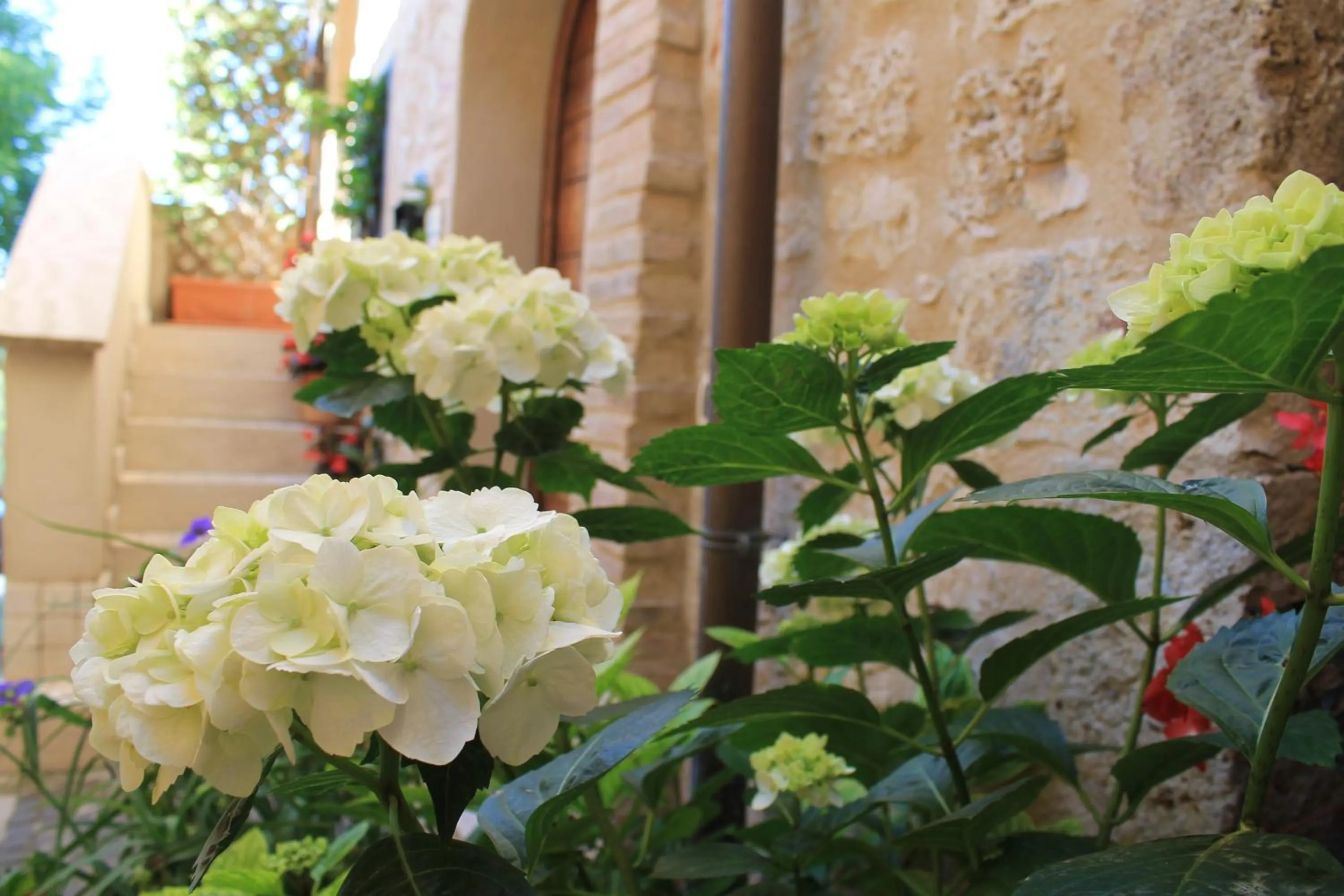 Facade/entrance in La Zaffera