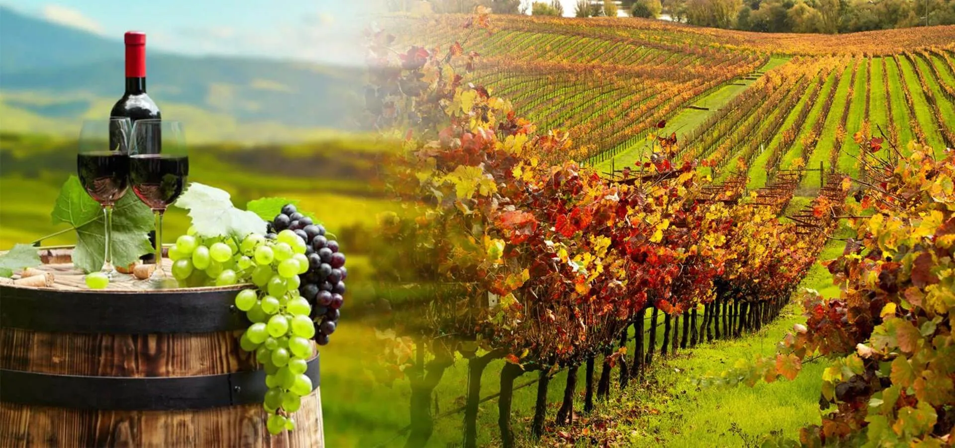 Garden view in Depot Inn & Suites