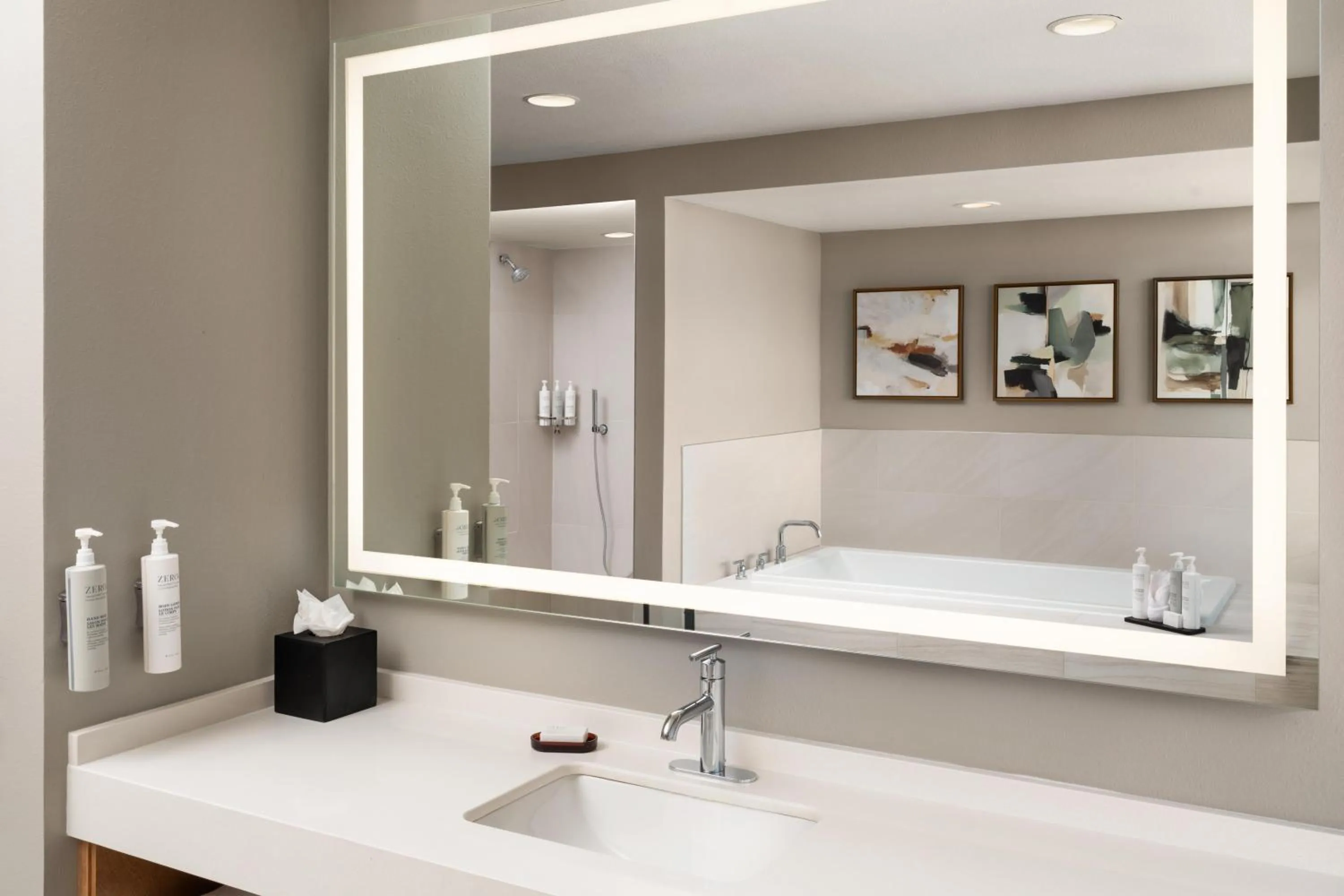 Bathroom in Embassy Suites by Hilton at Hot Springs Convention Center