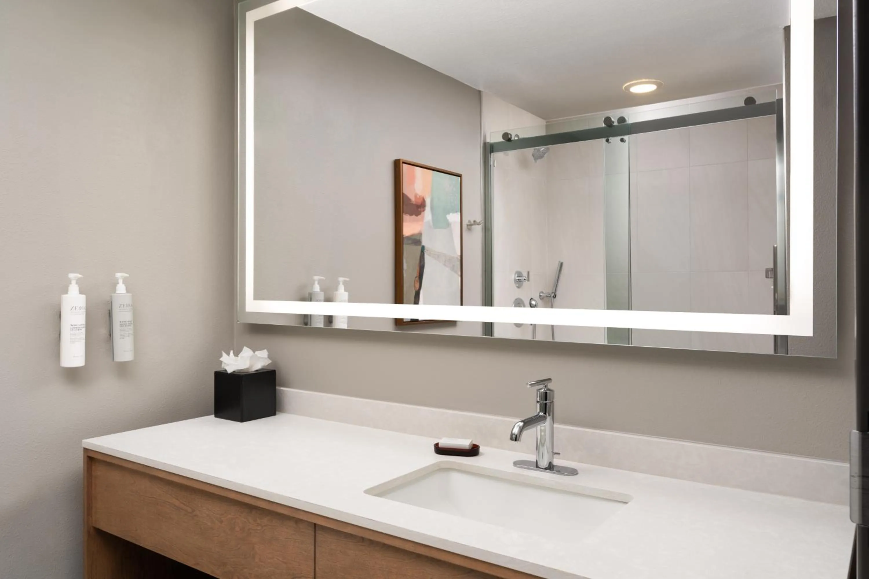 Bathroom in Embassy Suites by Hilton at Hot Springs Convention Center