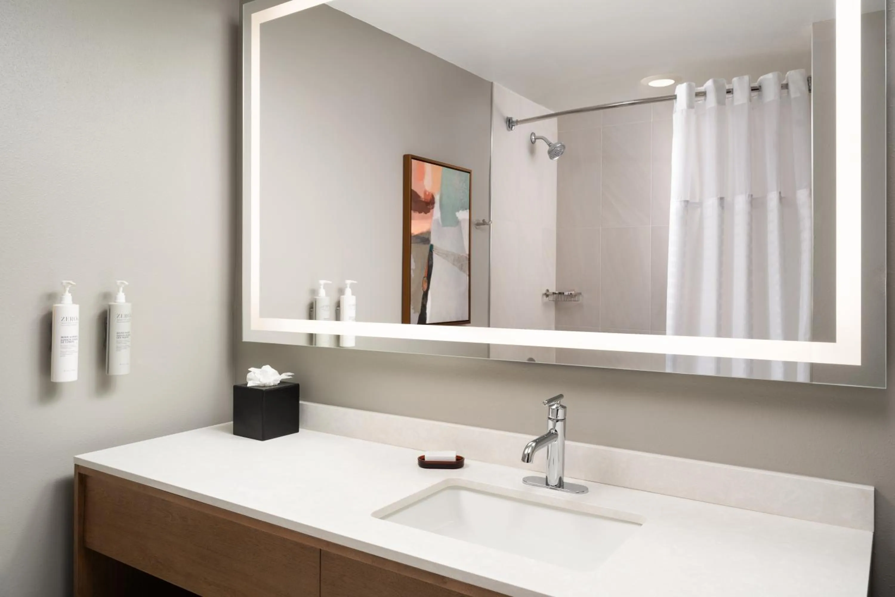 Bathroom in Embassy Suites by Hilton at Hot Springs Convention Center