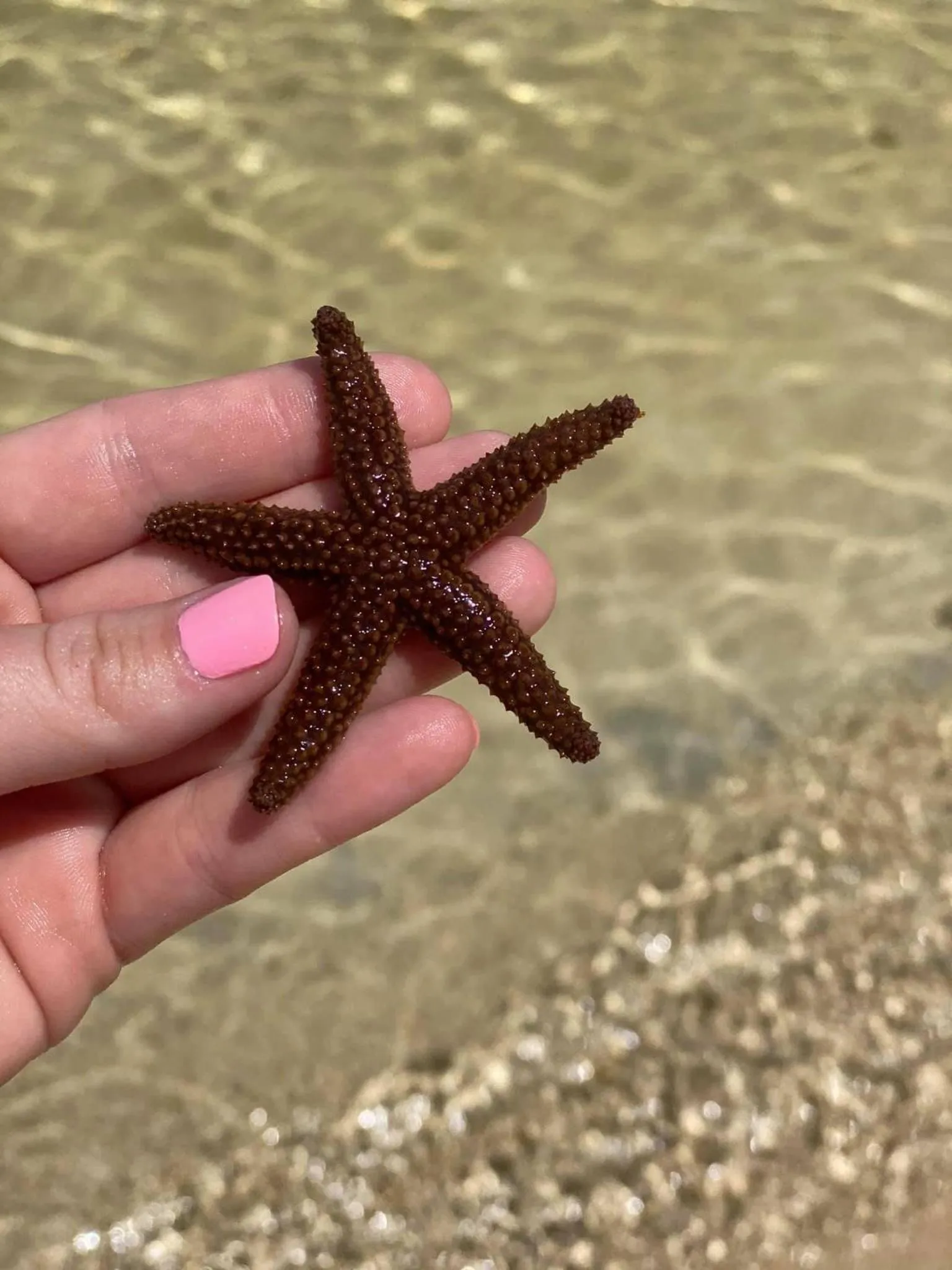 Sunset Cove Beach Resort