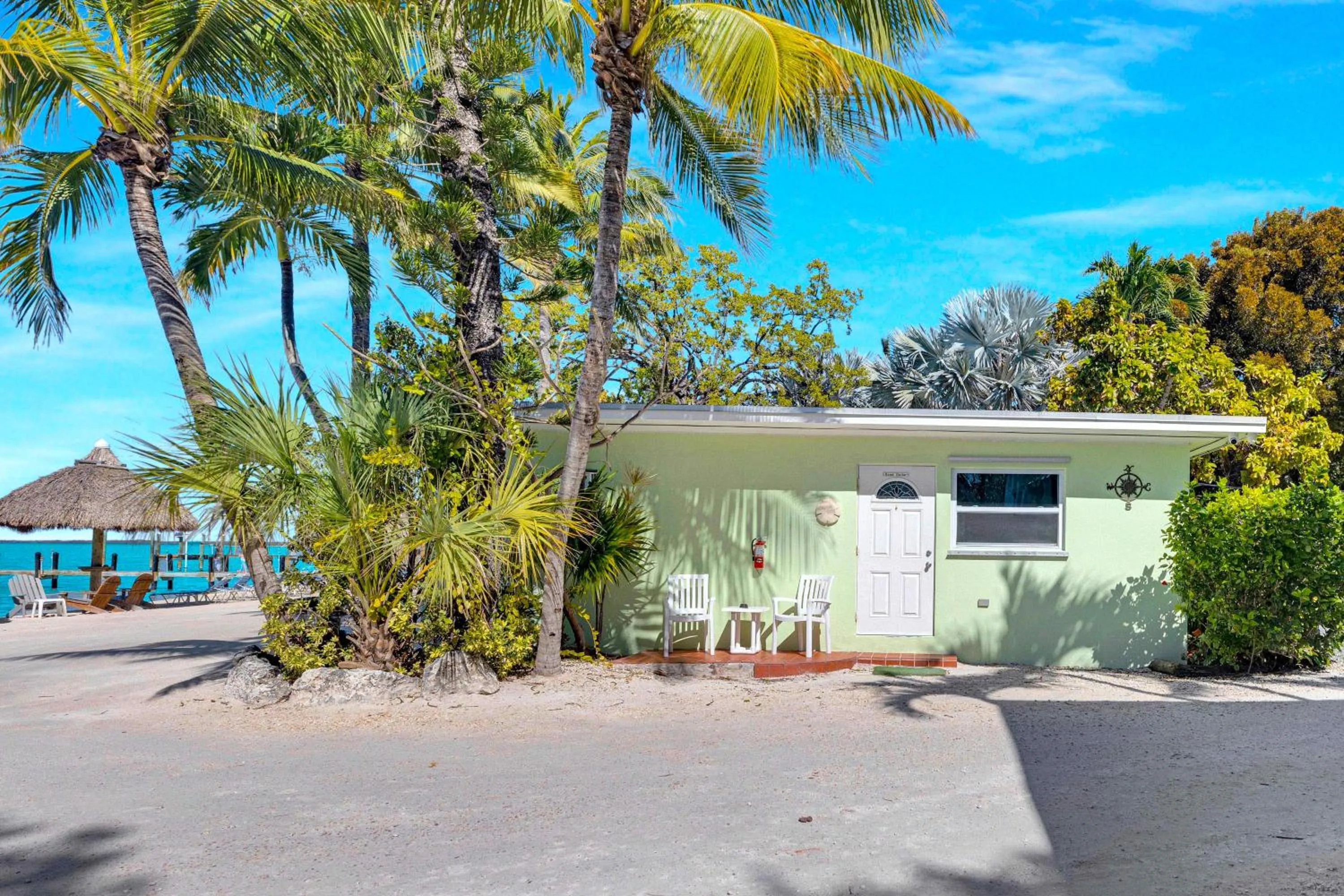 Sand Dollar in Sunset Cove Beach Resort