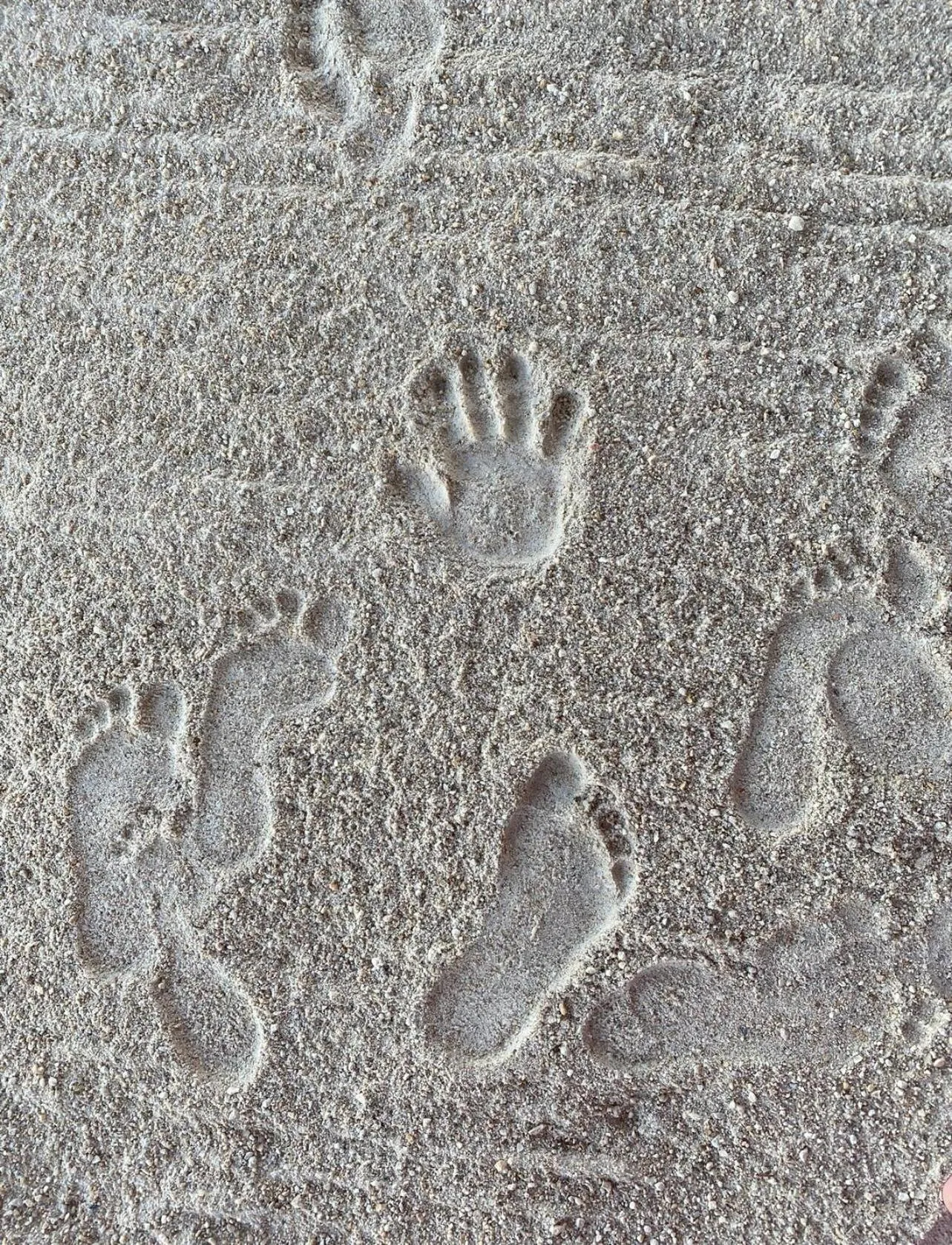 Beach in Sunset Cove Beach Resort