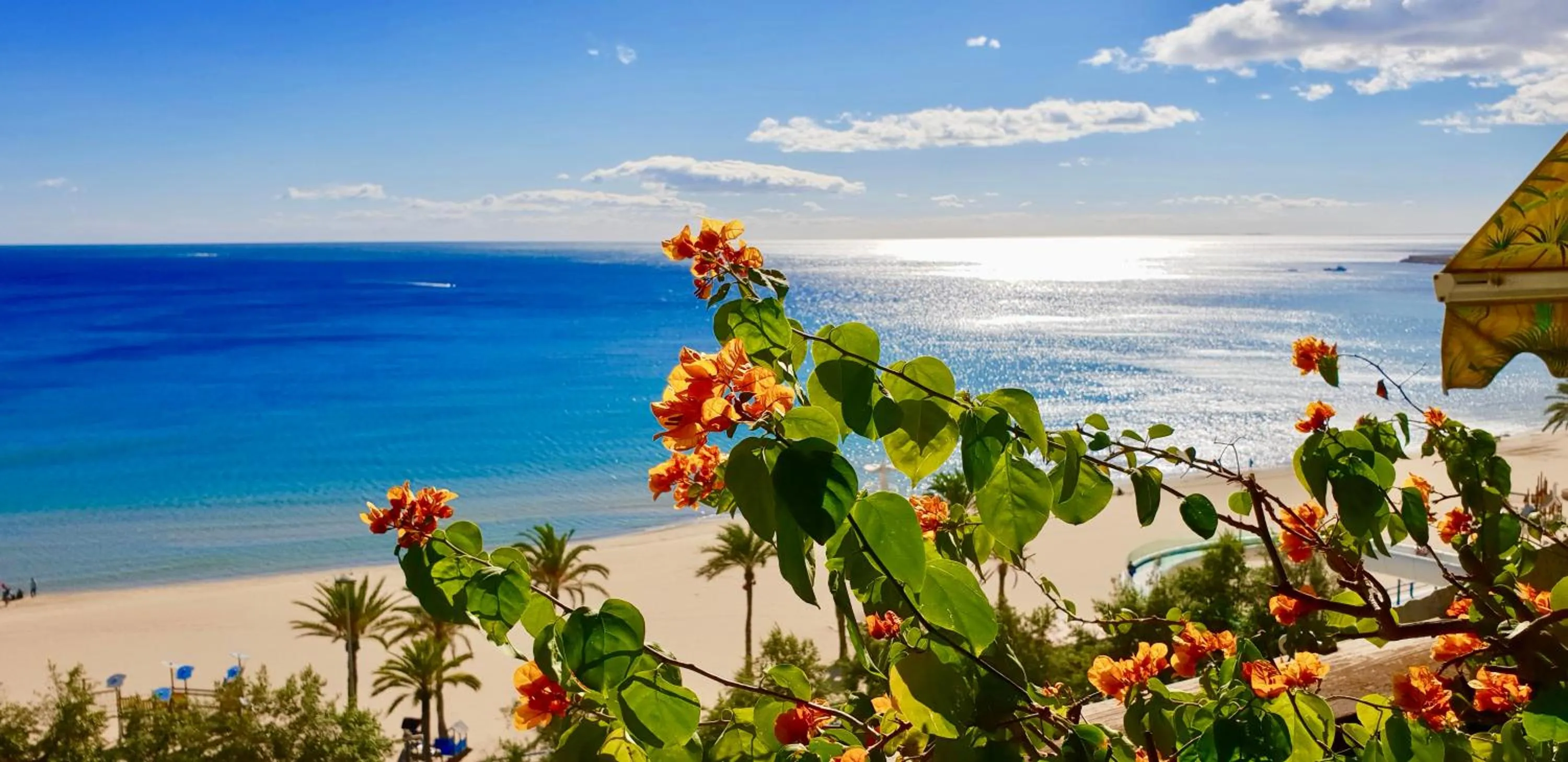 Apartamento Deluxe Playa Alicante